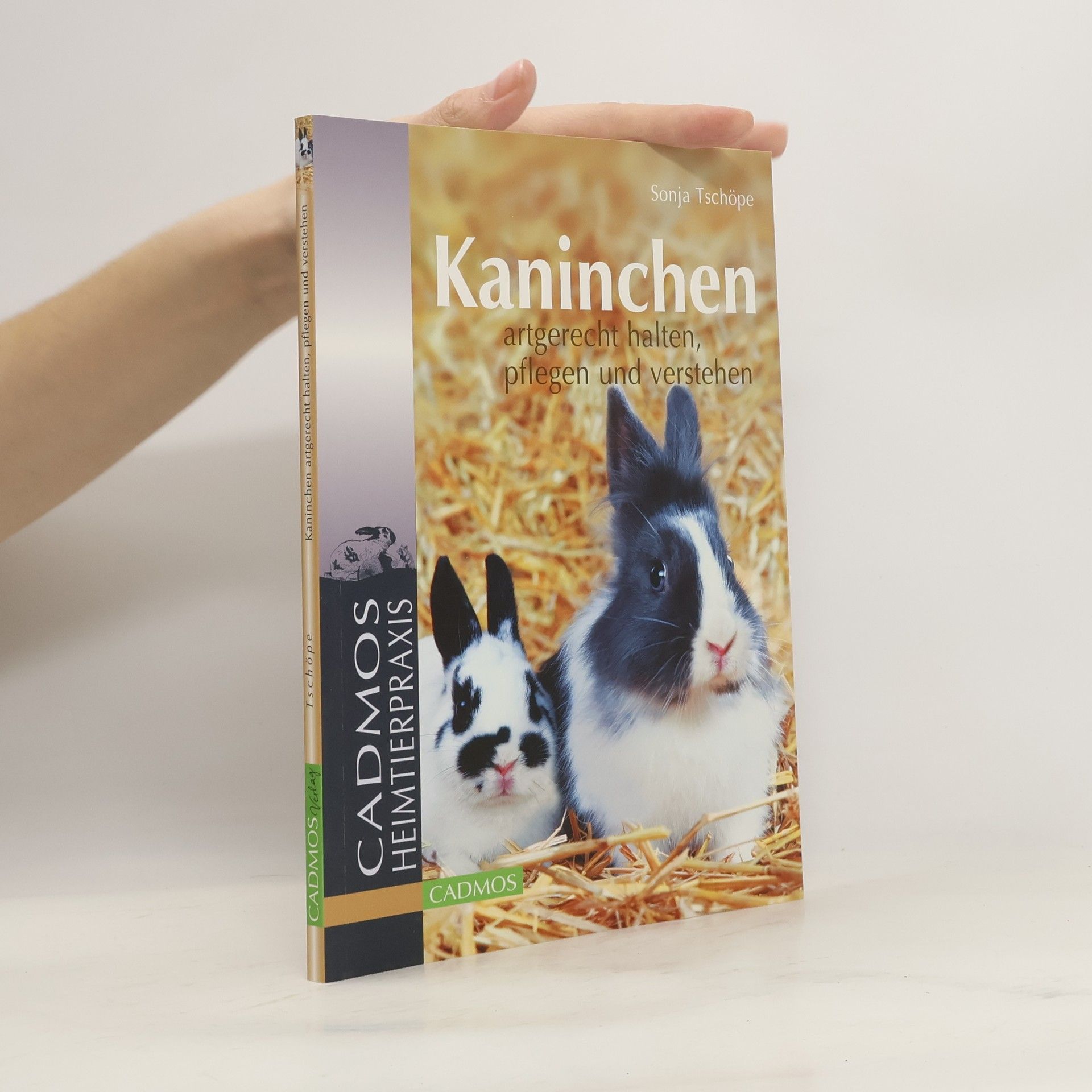 Sonja Tschöpe Kaninchen