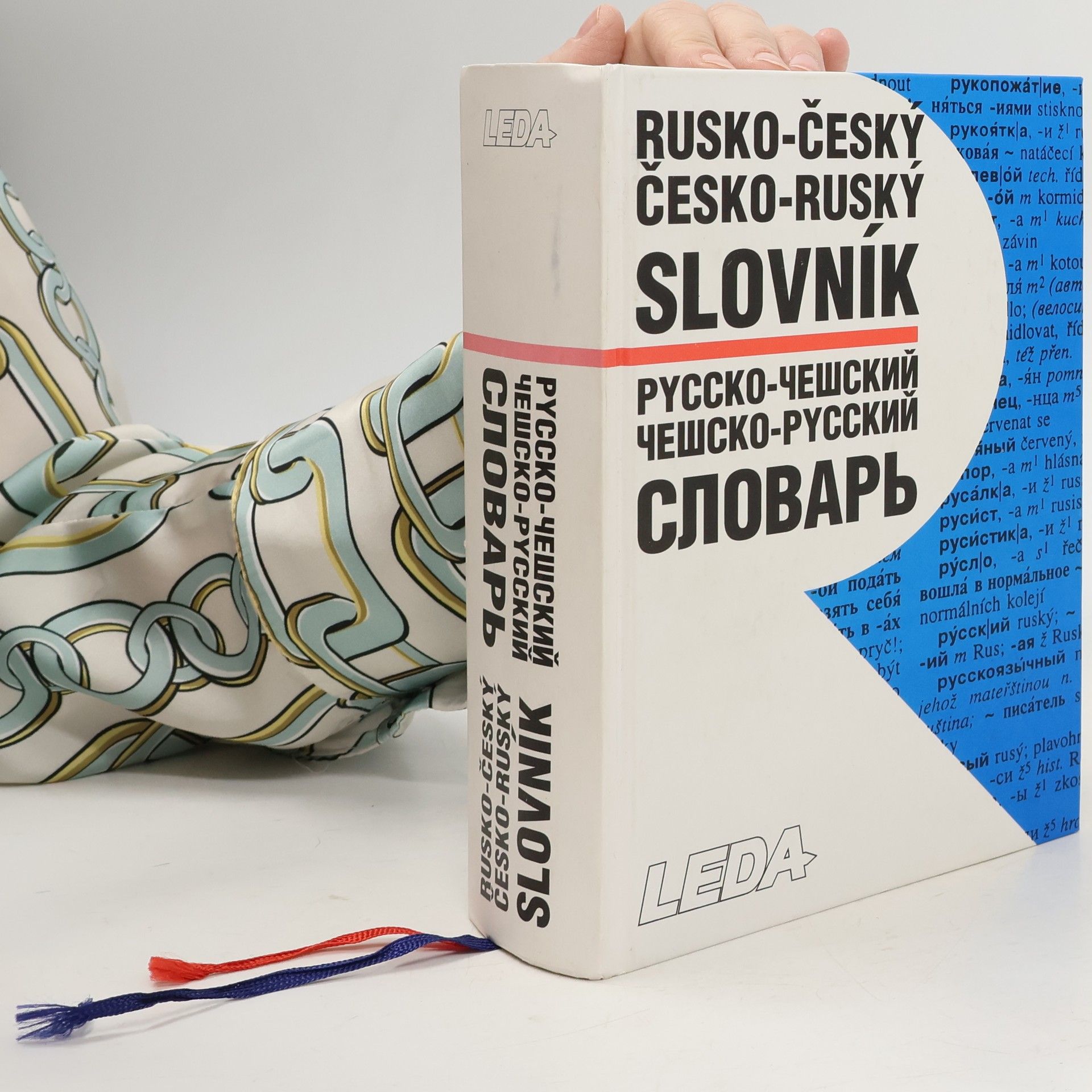 Rusko-český, česko-ruský slovník = Russko-češskij, češsko-russkij slovar'