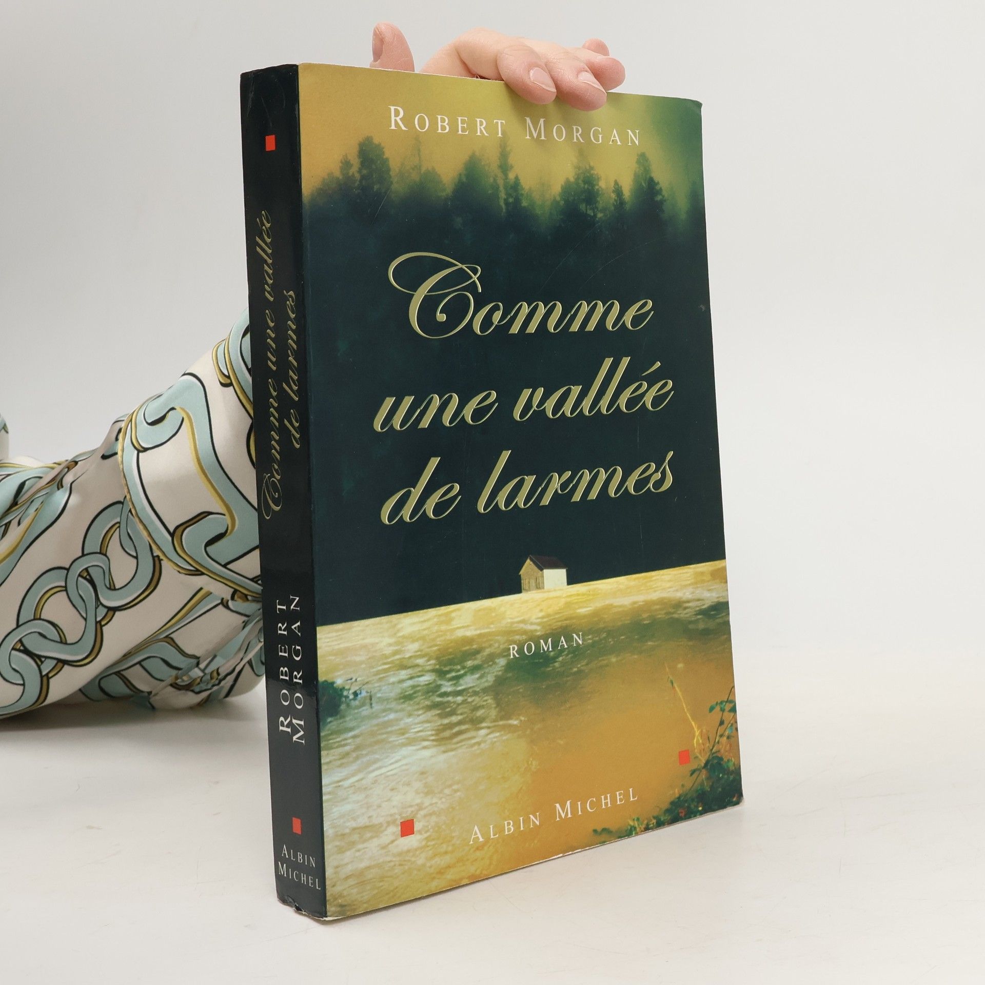 Robert Morgan Comme une vallée de larmes