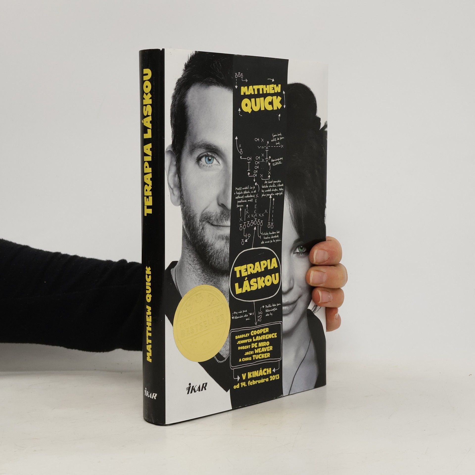 Matthew Quick Terapia láskou