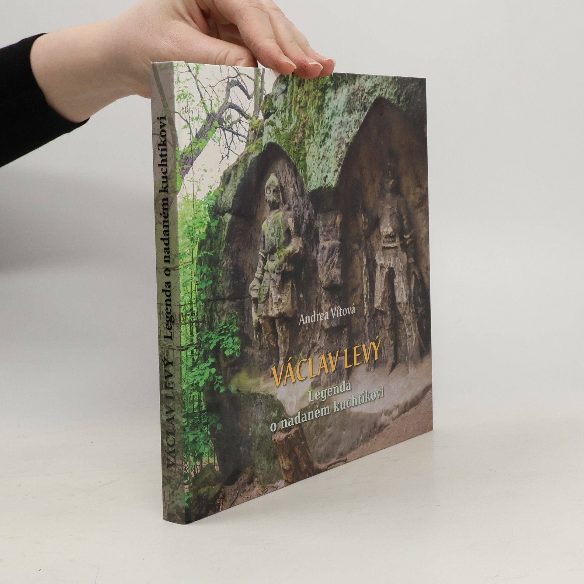 Andrea Vito Václav Levý : legenda o nadaném kuchtíkovi