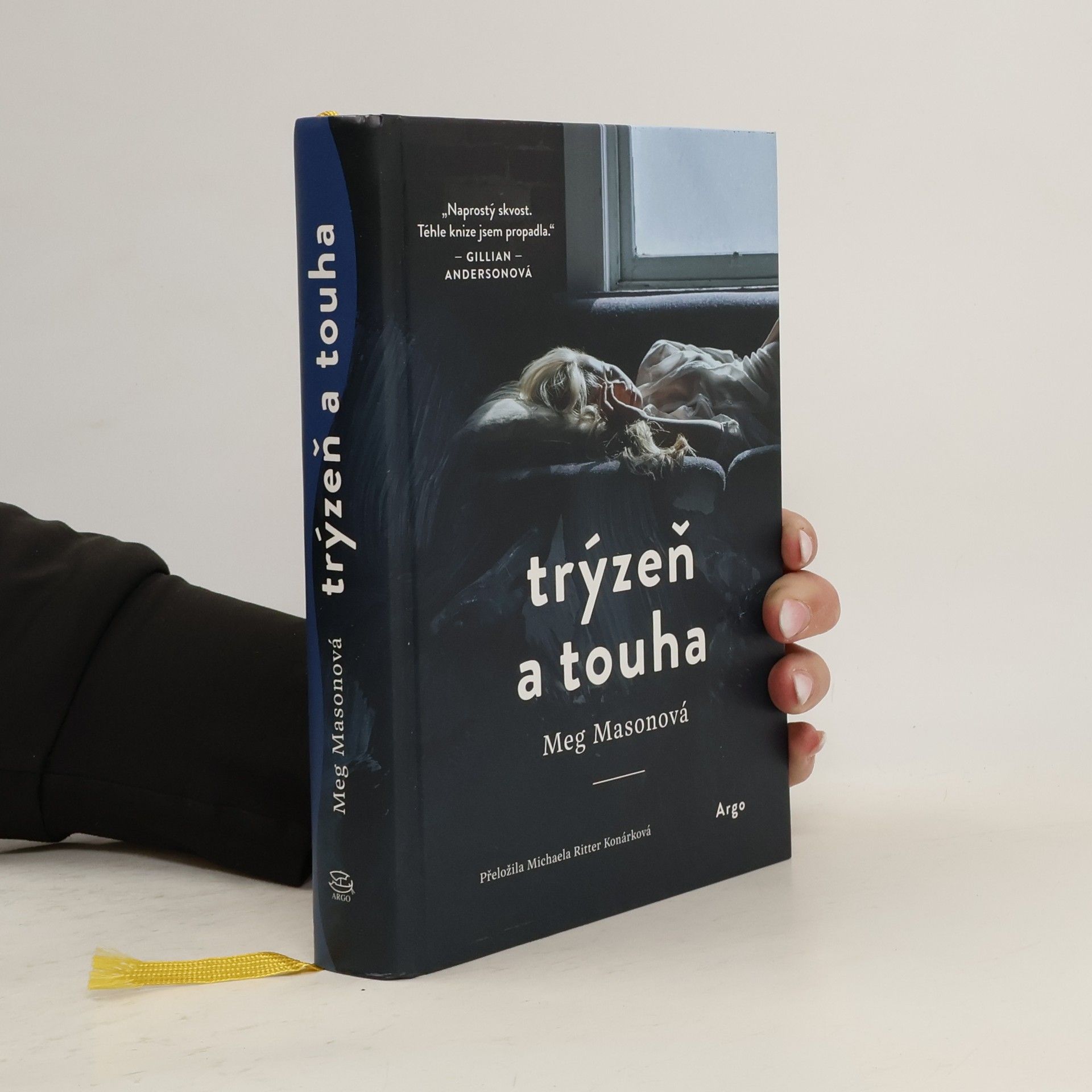 Meg Mason Trýzeň a touha