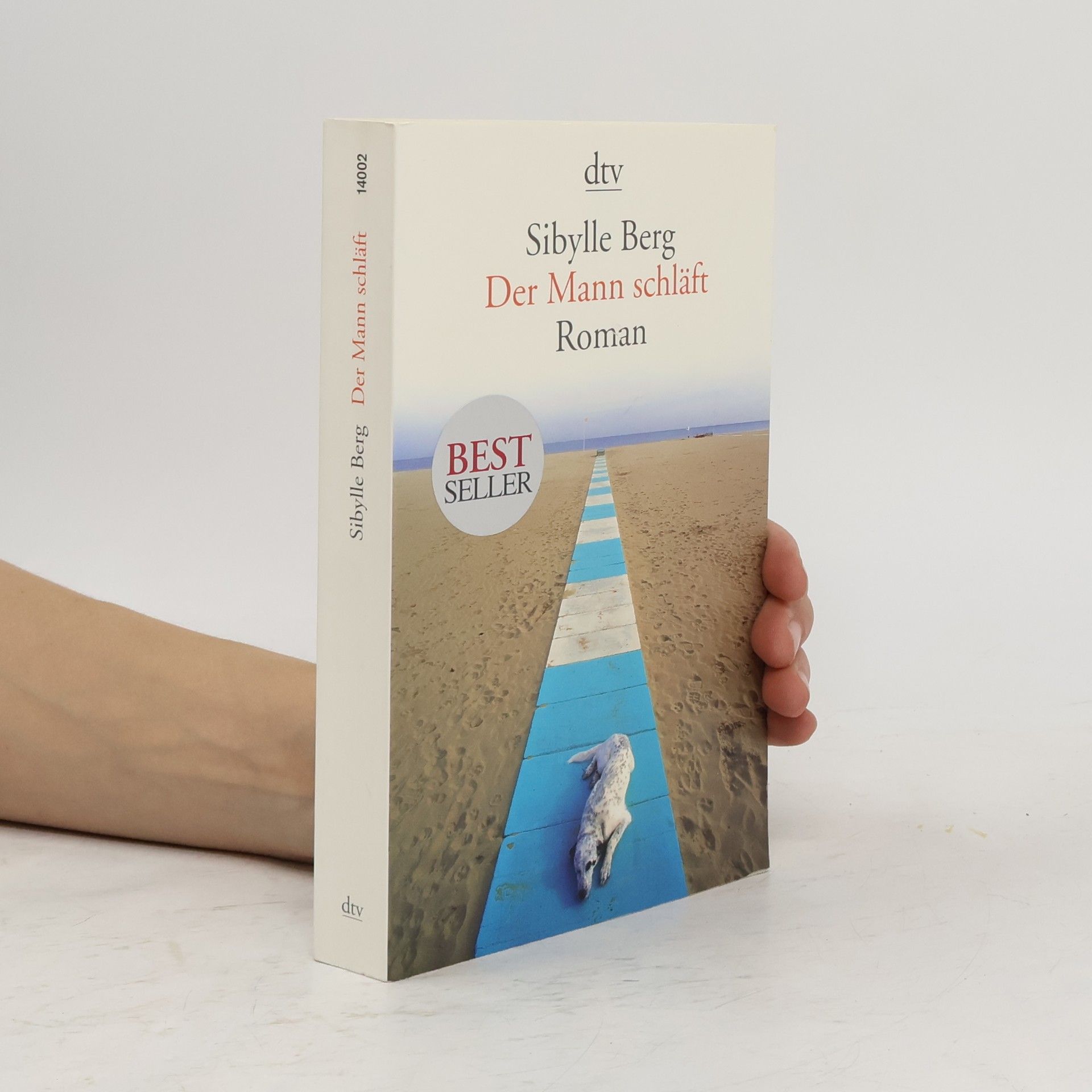 Sibylle Berg Der Mann schläft