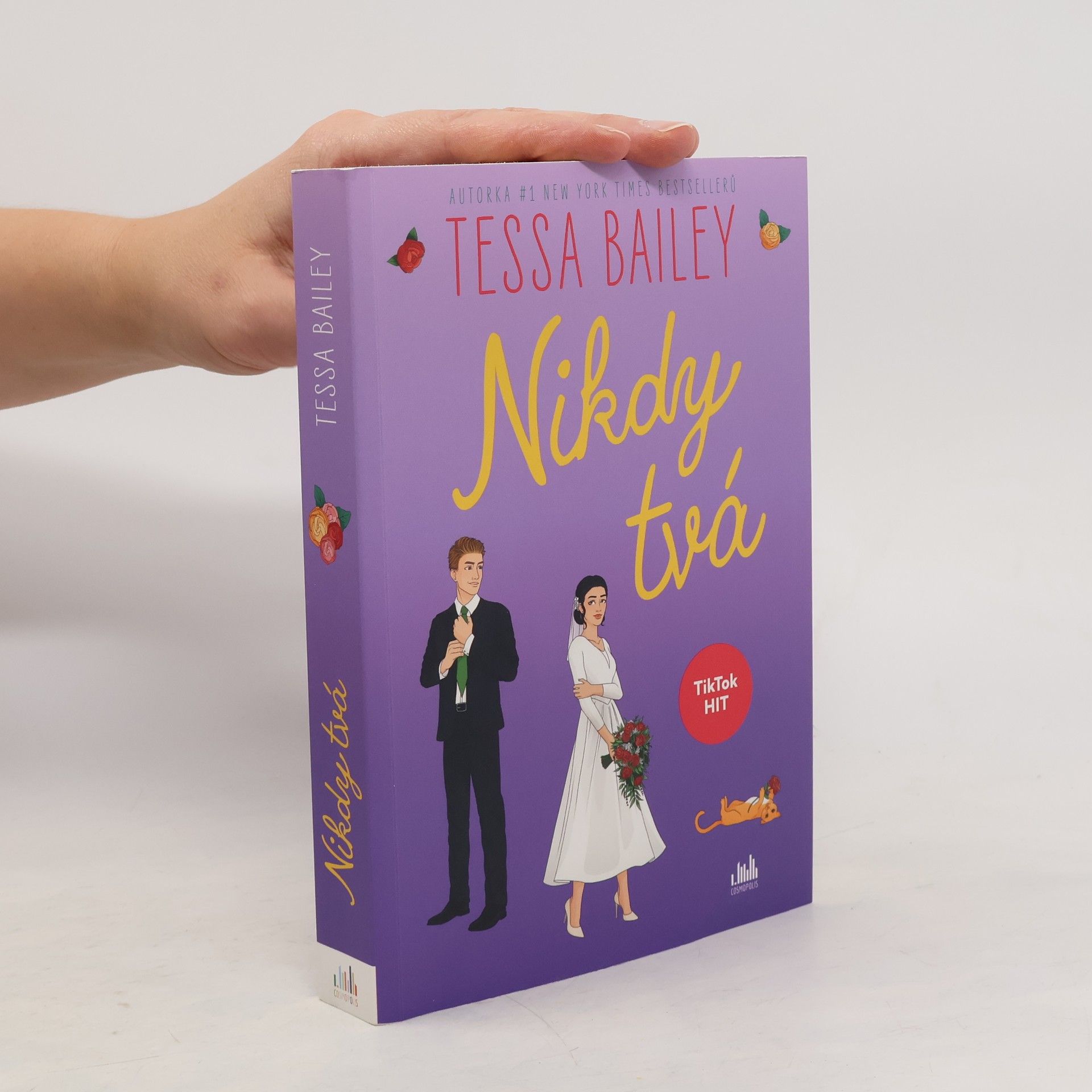 Tessa Bailey Nikdy tvá