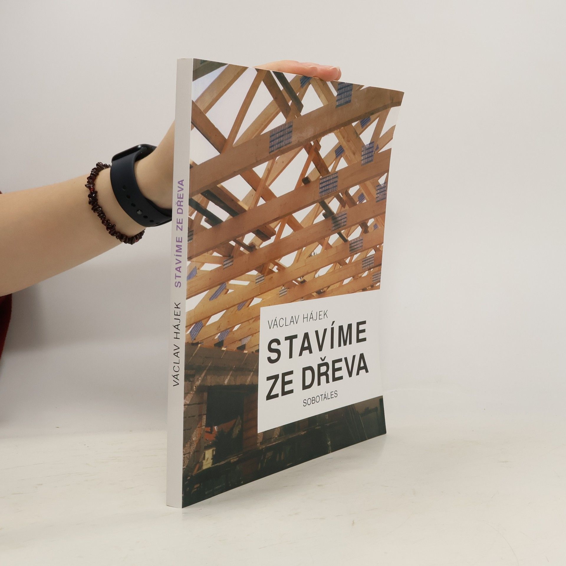 Václav Hájek Stavíme ze dřeva