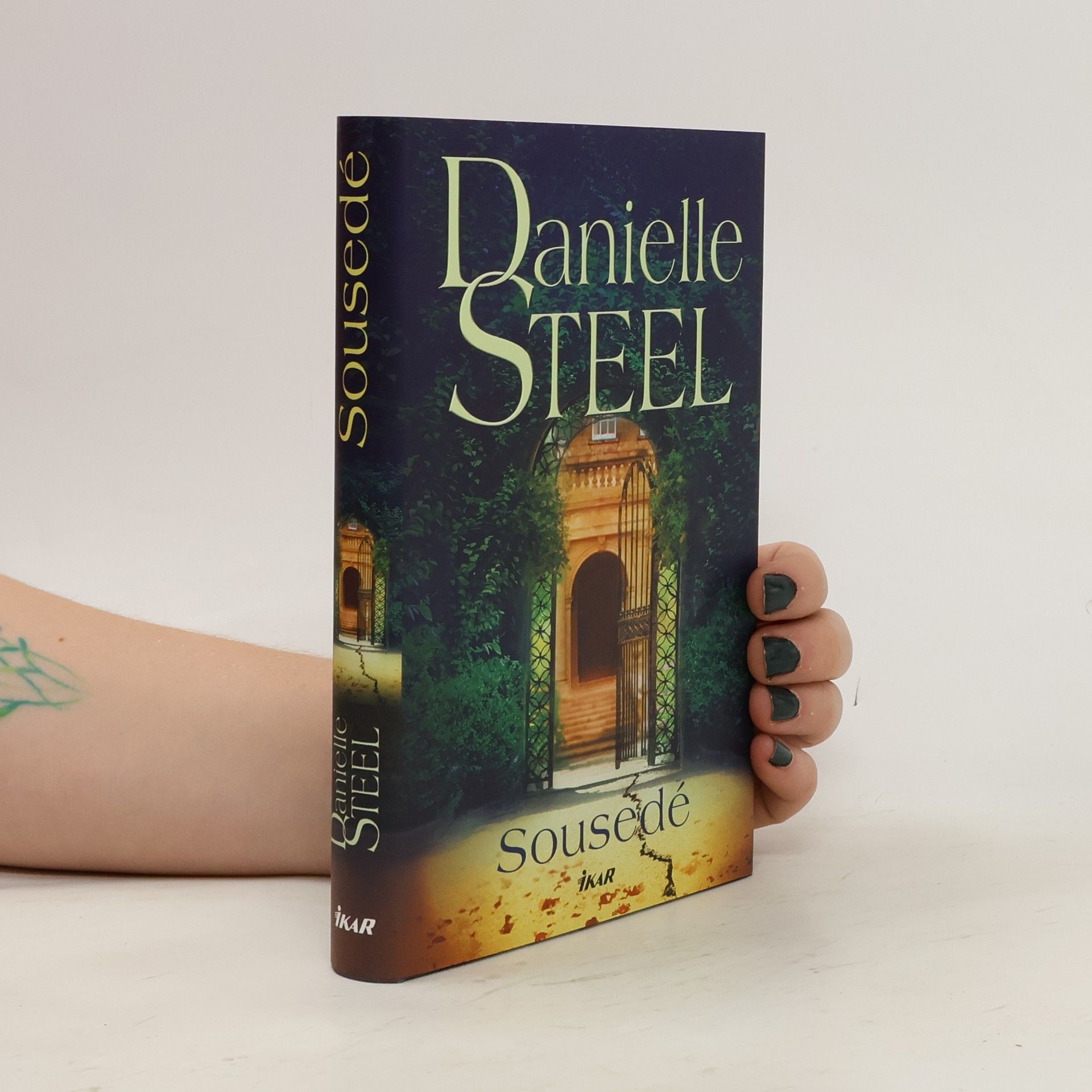 Danielle Steel Sousedé
