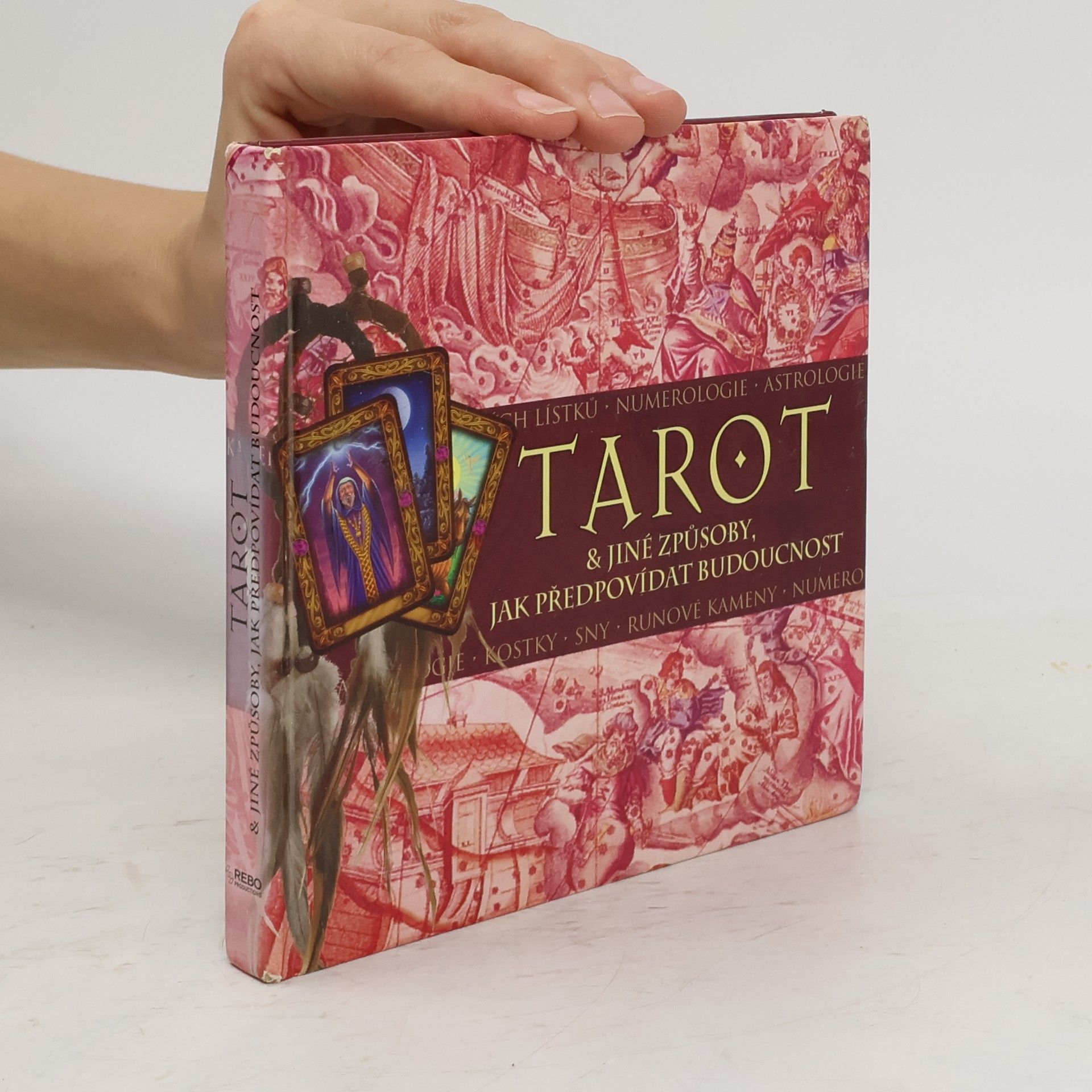 Bridget Reed Tarot & jiné způsoby, jak předpovídat budoucnost