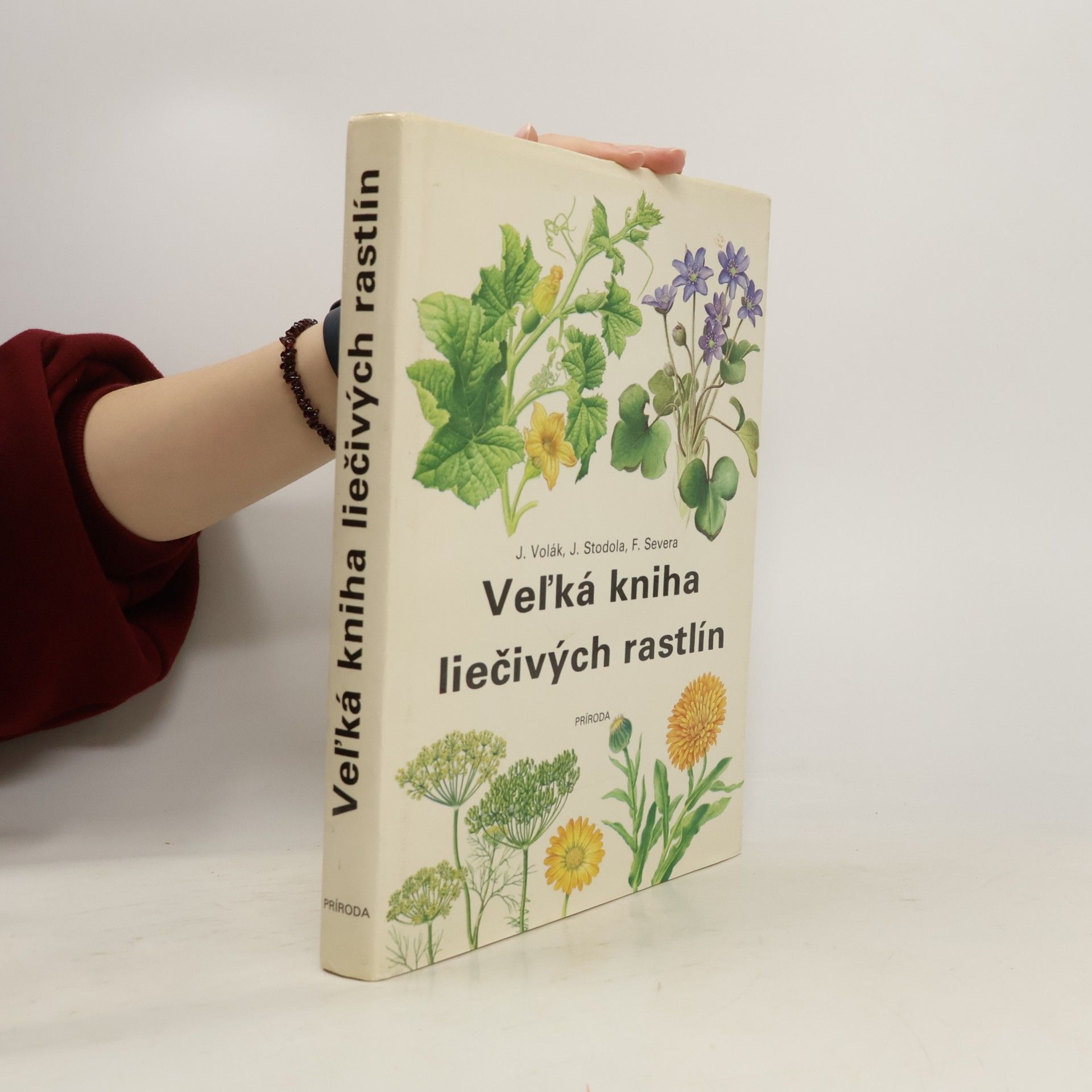 Jiří Stodola Veľká kniha liečivých rastlín