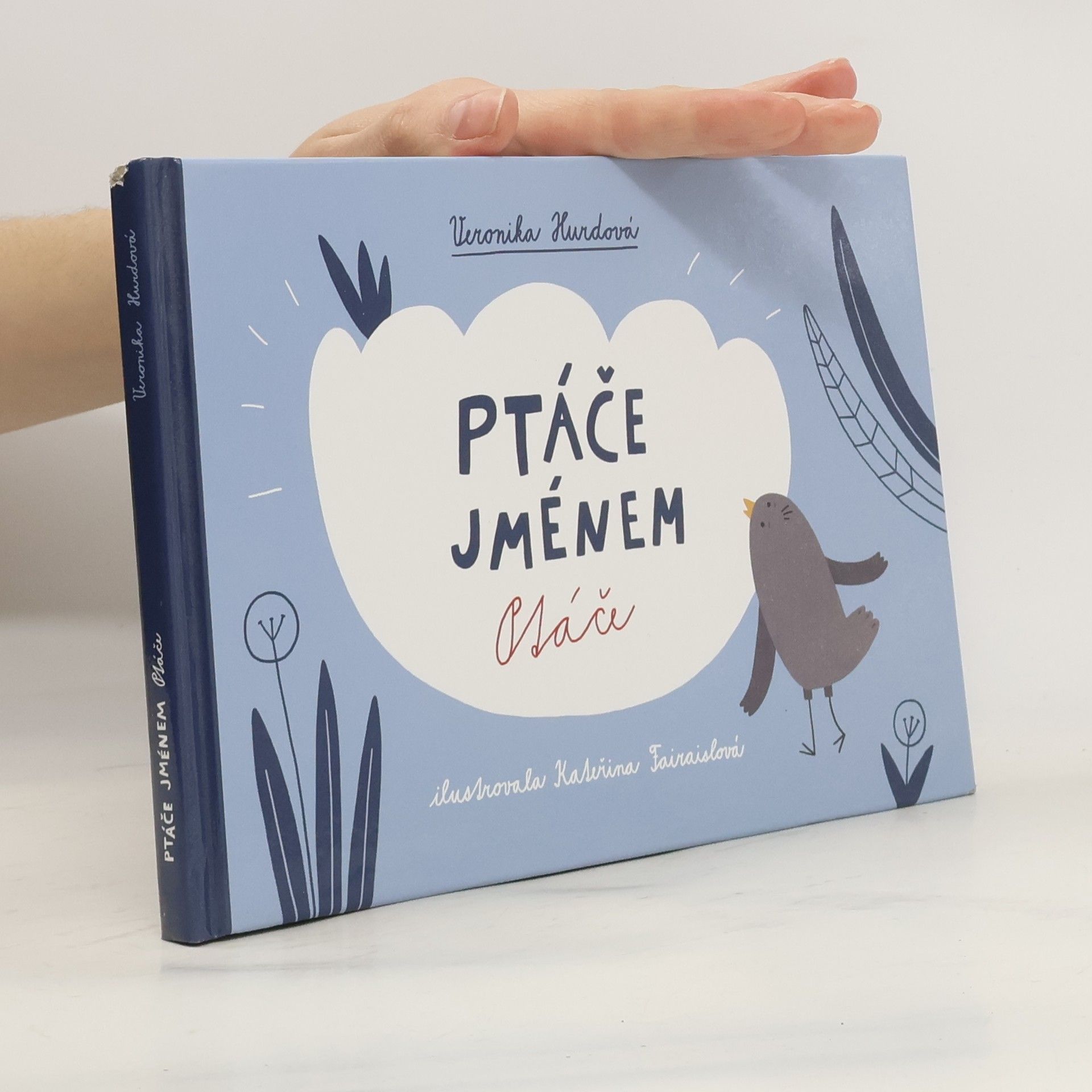 Veronika Hurdová Ptáče jménem Ptáče