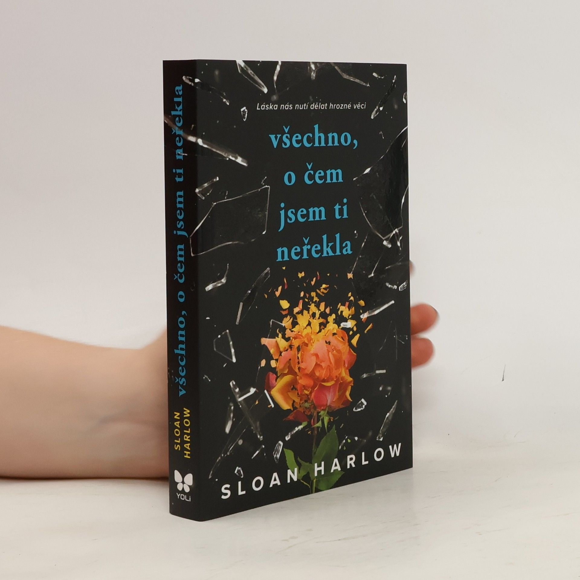 Sloan Harlow Všechno, o čem jsem ti neřekla