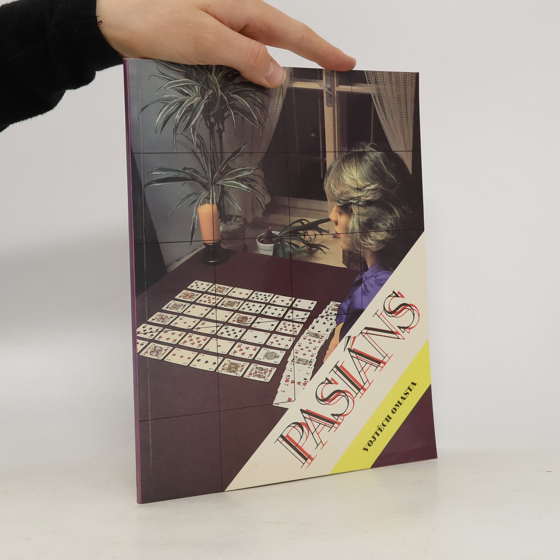 Vojtěch Omasta Pasiáns: Hry trpělivosti