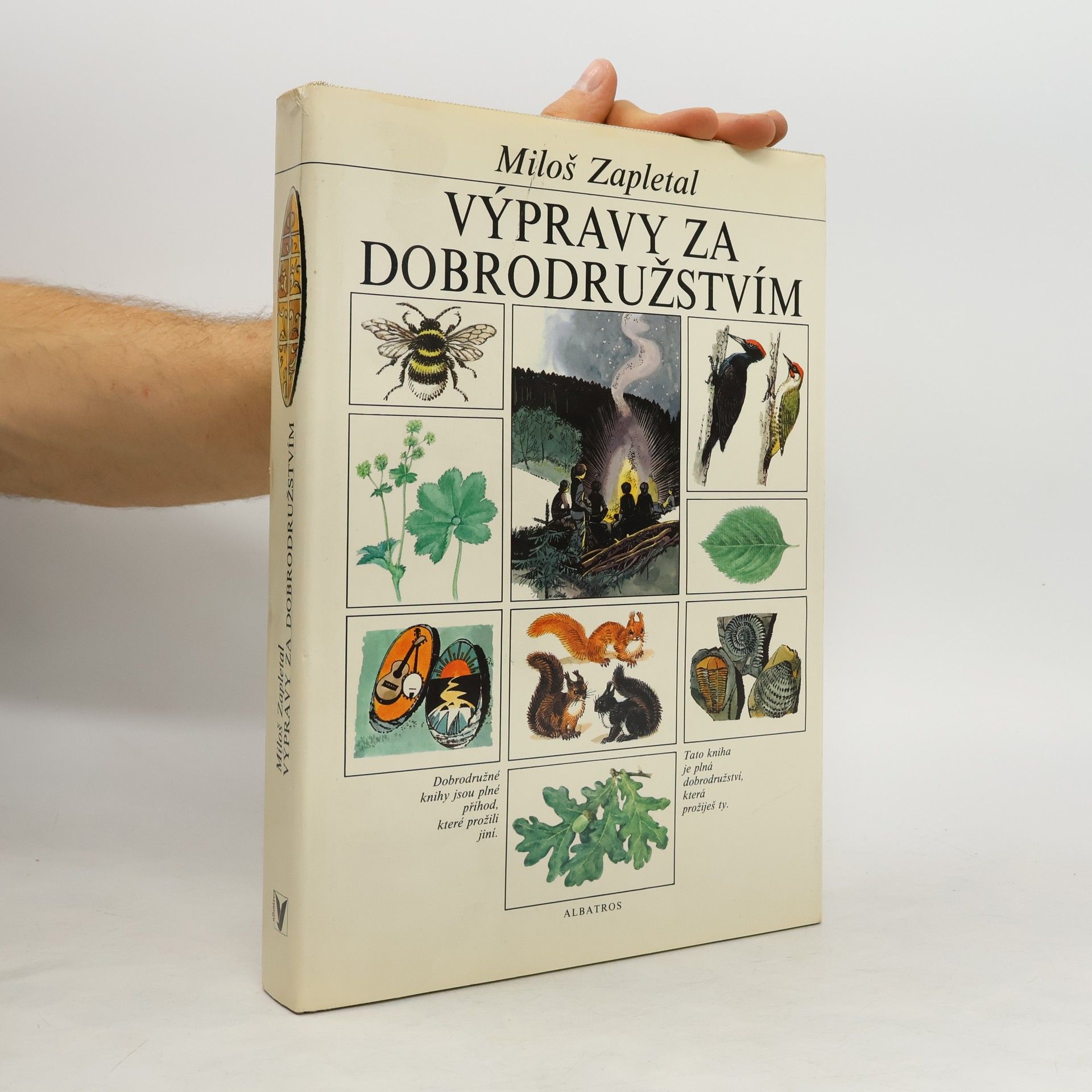 Výpravy za dobrodružstvím