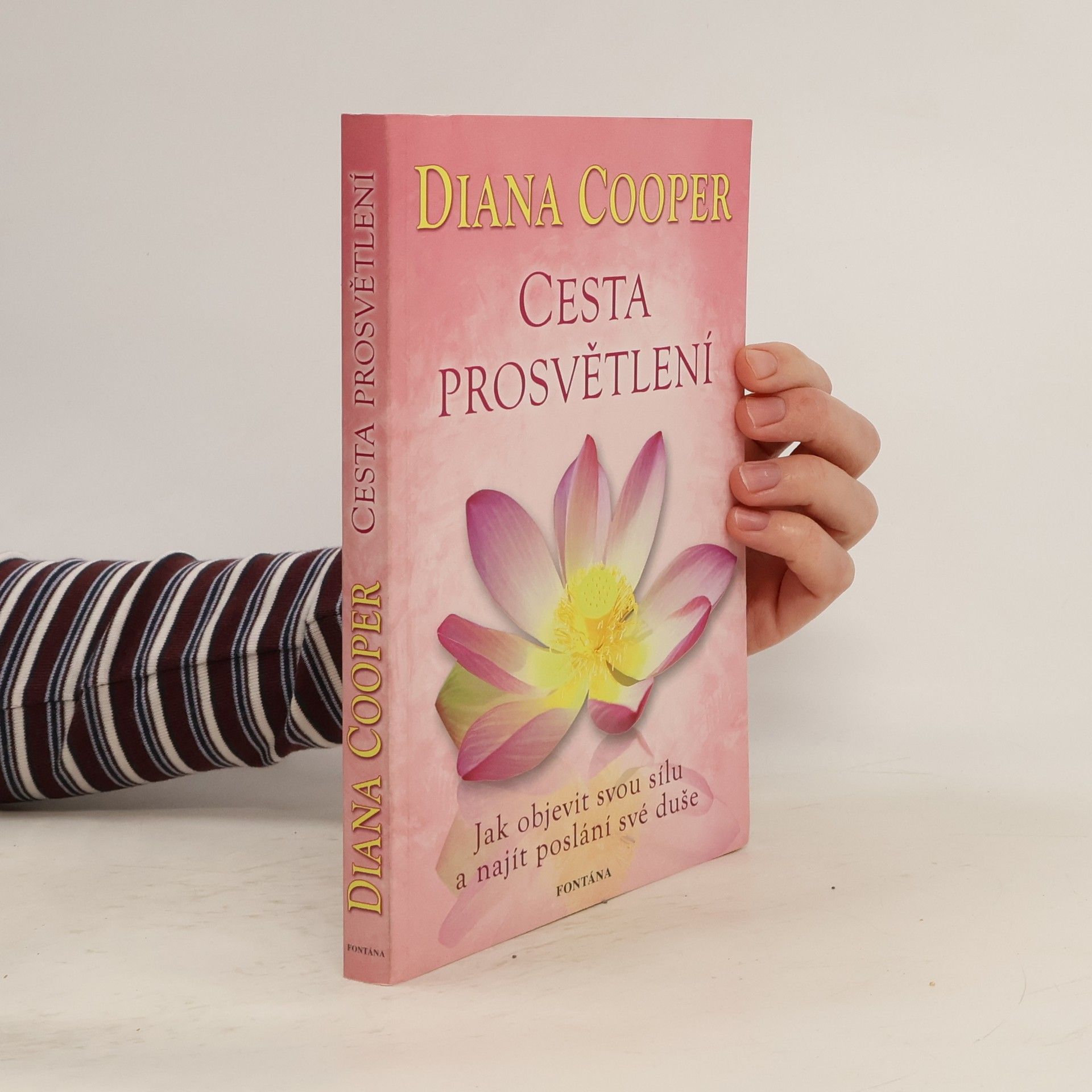 Diana Cooper Cesta prosvětlení : jak objevit svou sílu a najít poslání své duše