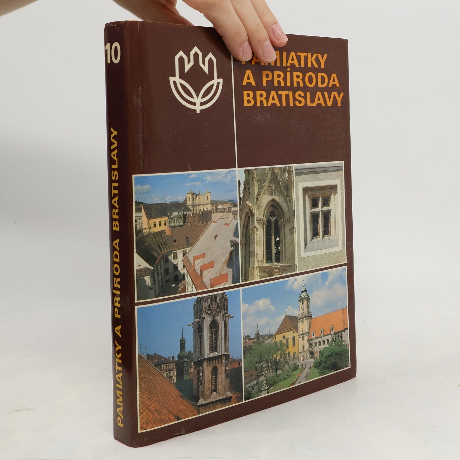 Collectif d'auteurs Pamiatky a príroda Bratislavy