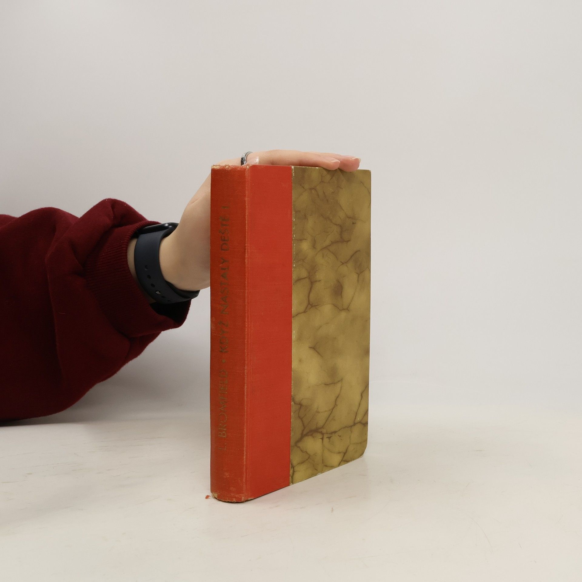 Louis Bromfield Když nastaly deště