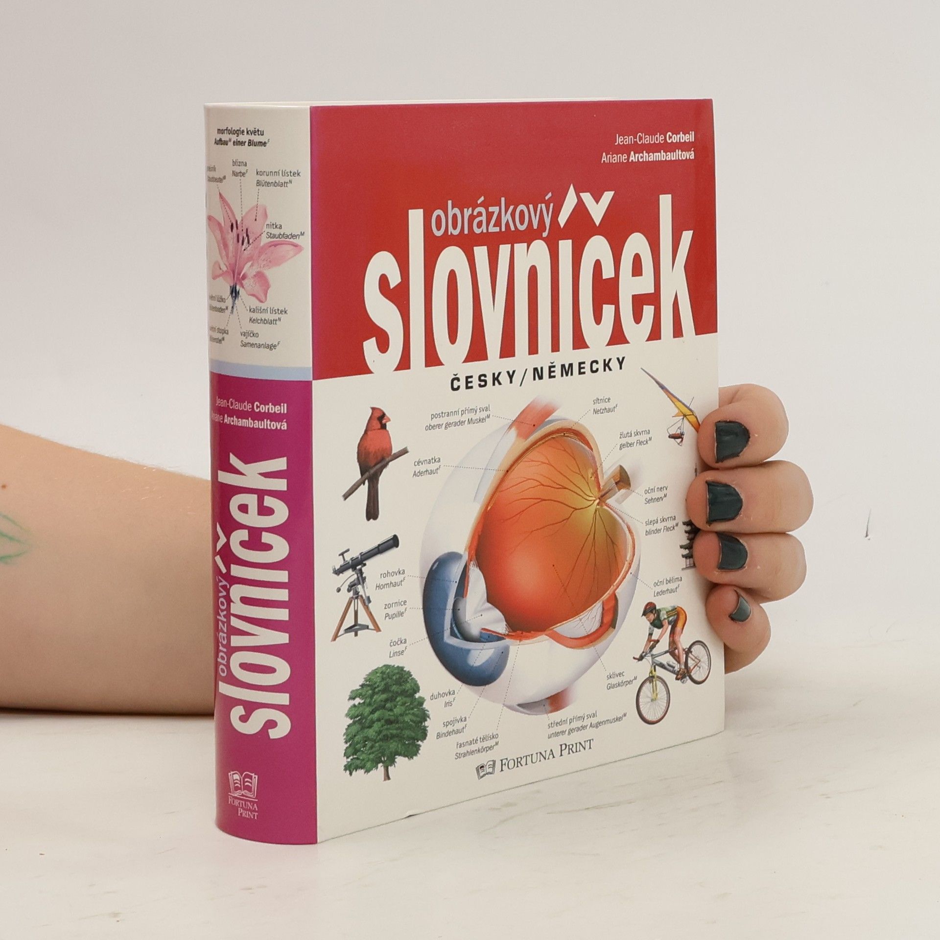 Jean-Claude Corbeil Obrázkový slovníček česky/německy