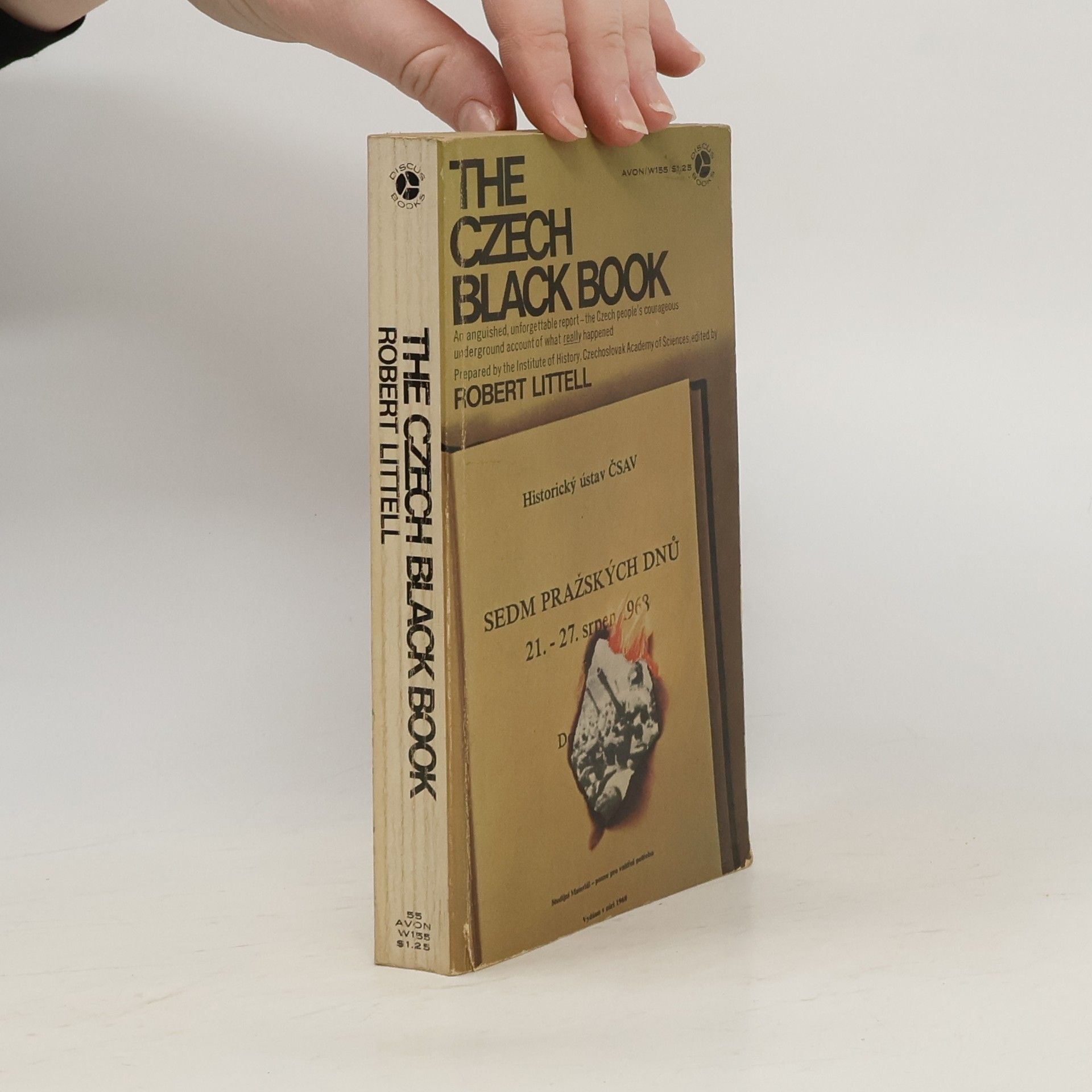 Robert Littell The Czech Black Book