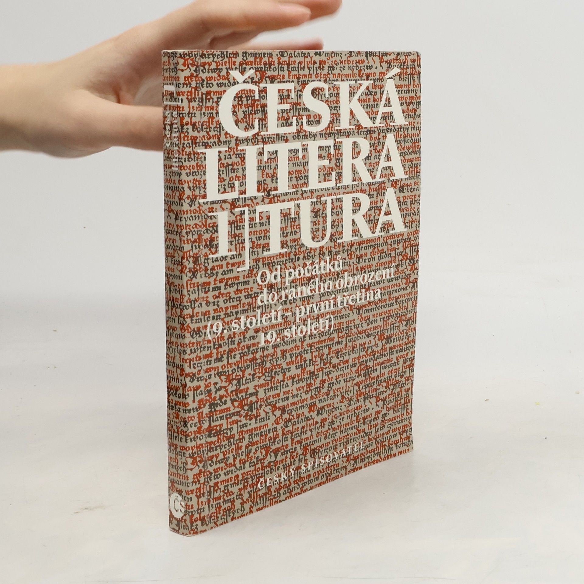 Česká literatura I