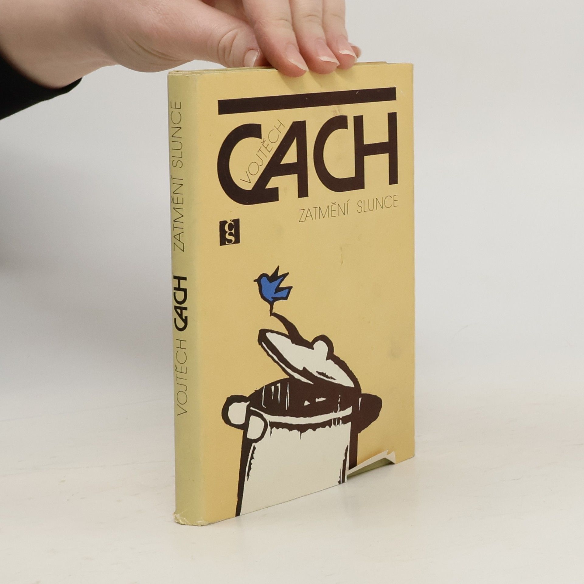 Vojtěch Cach Zatmění slunce