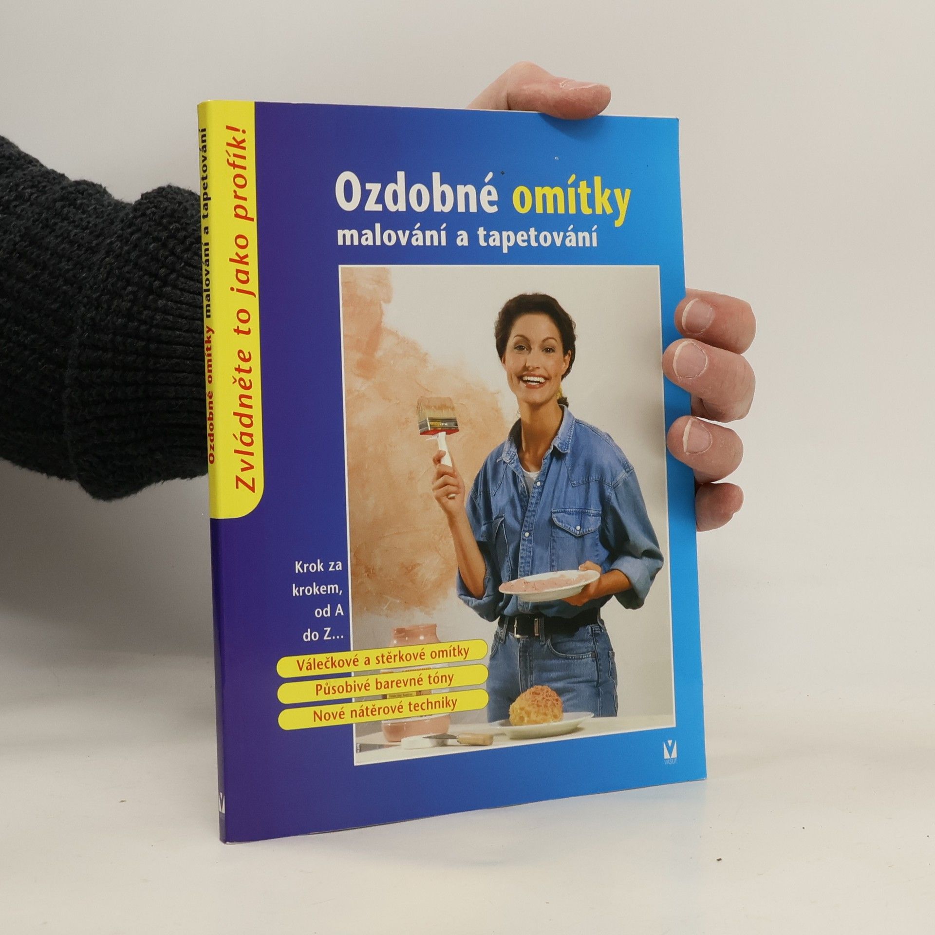 Kolektiv autorů Ozdobné omítky: Malování a tapetování Malování a tapetování