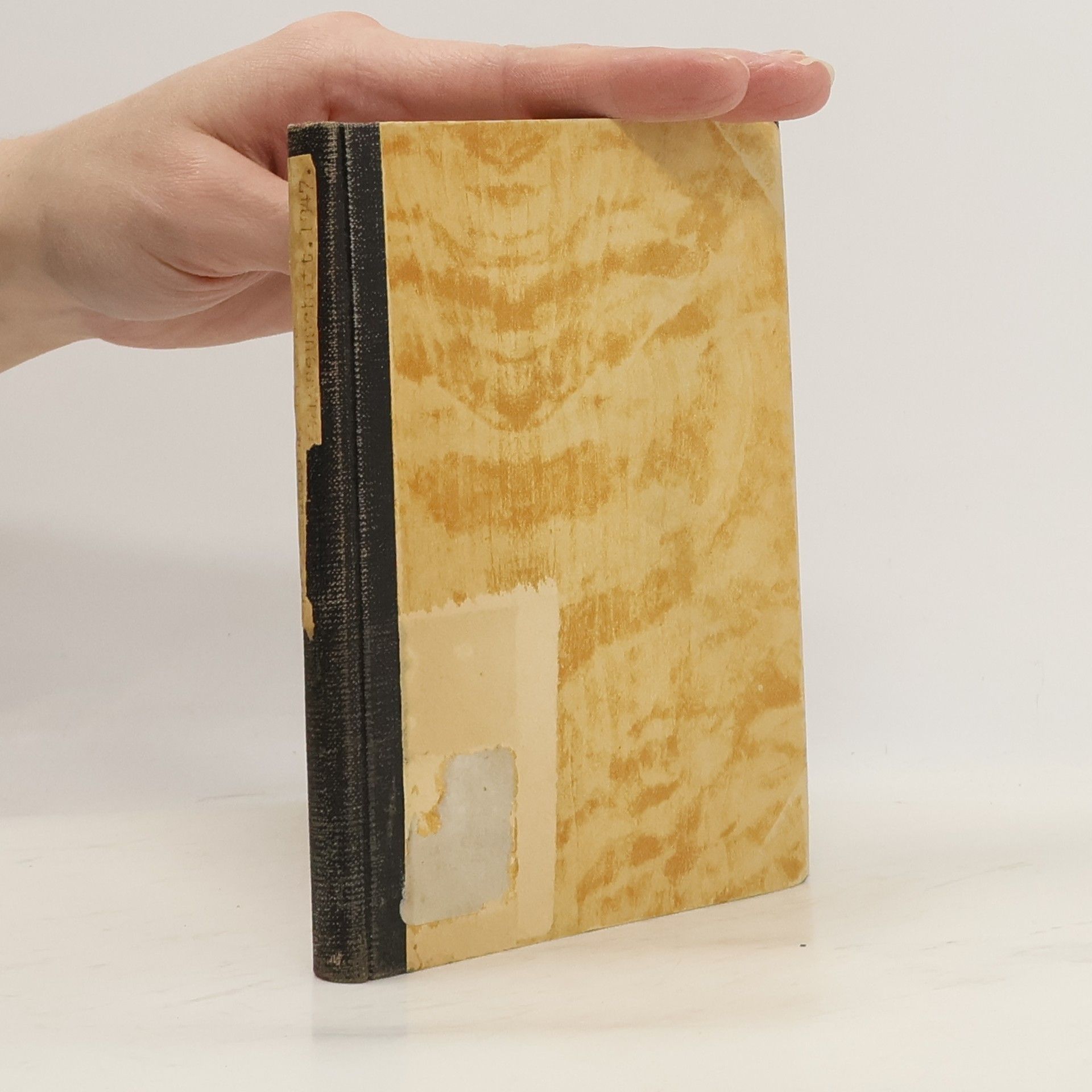 Einführung in die Geschichtswissenschaft