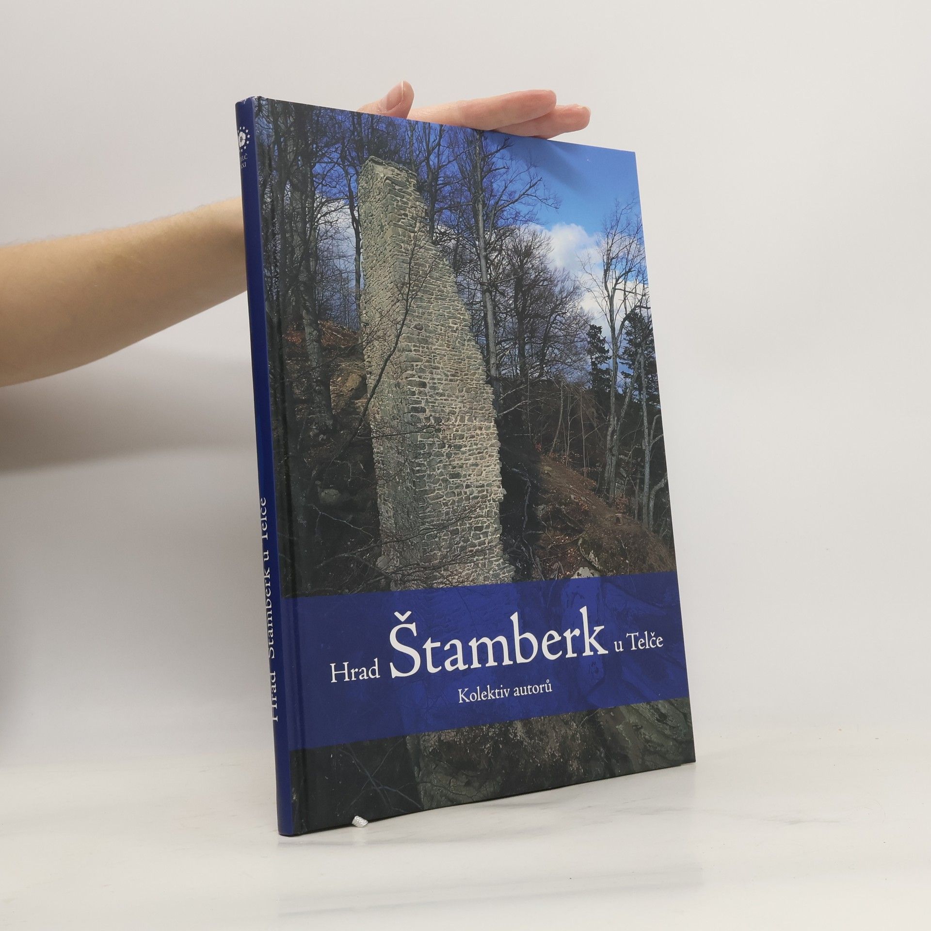 Kolektiv autorů Hrad Štamberk u Telče