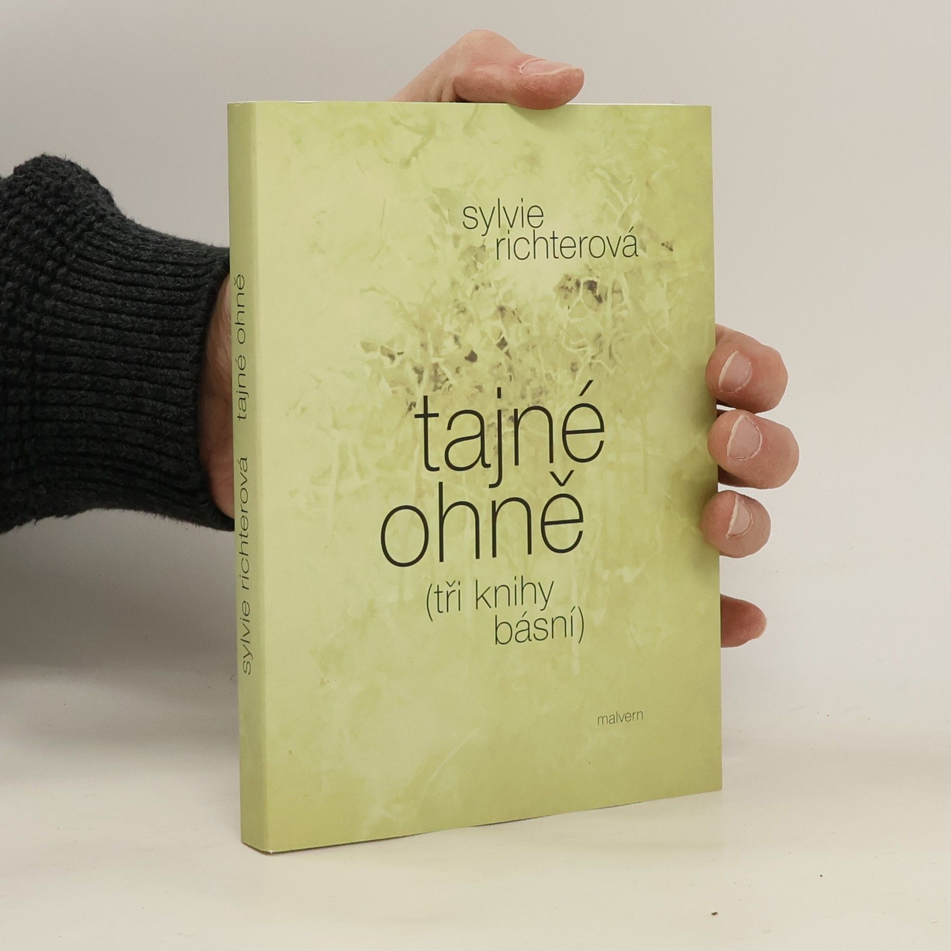 Sylvie Richterová Tajné ohně