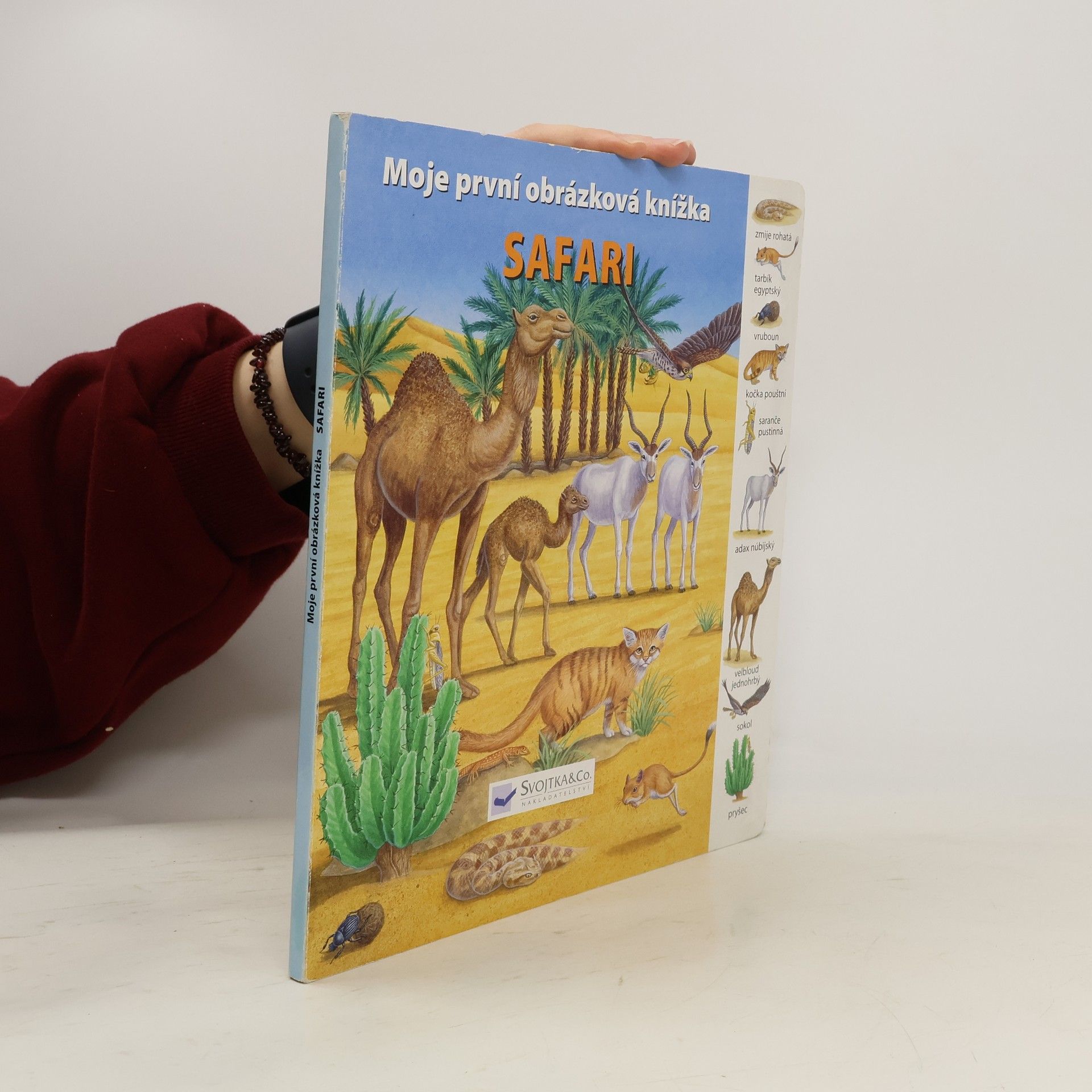 Collectif d'auteurs Safari - Moje první obrázková knížka