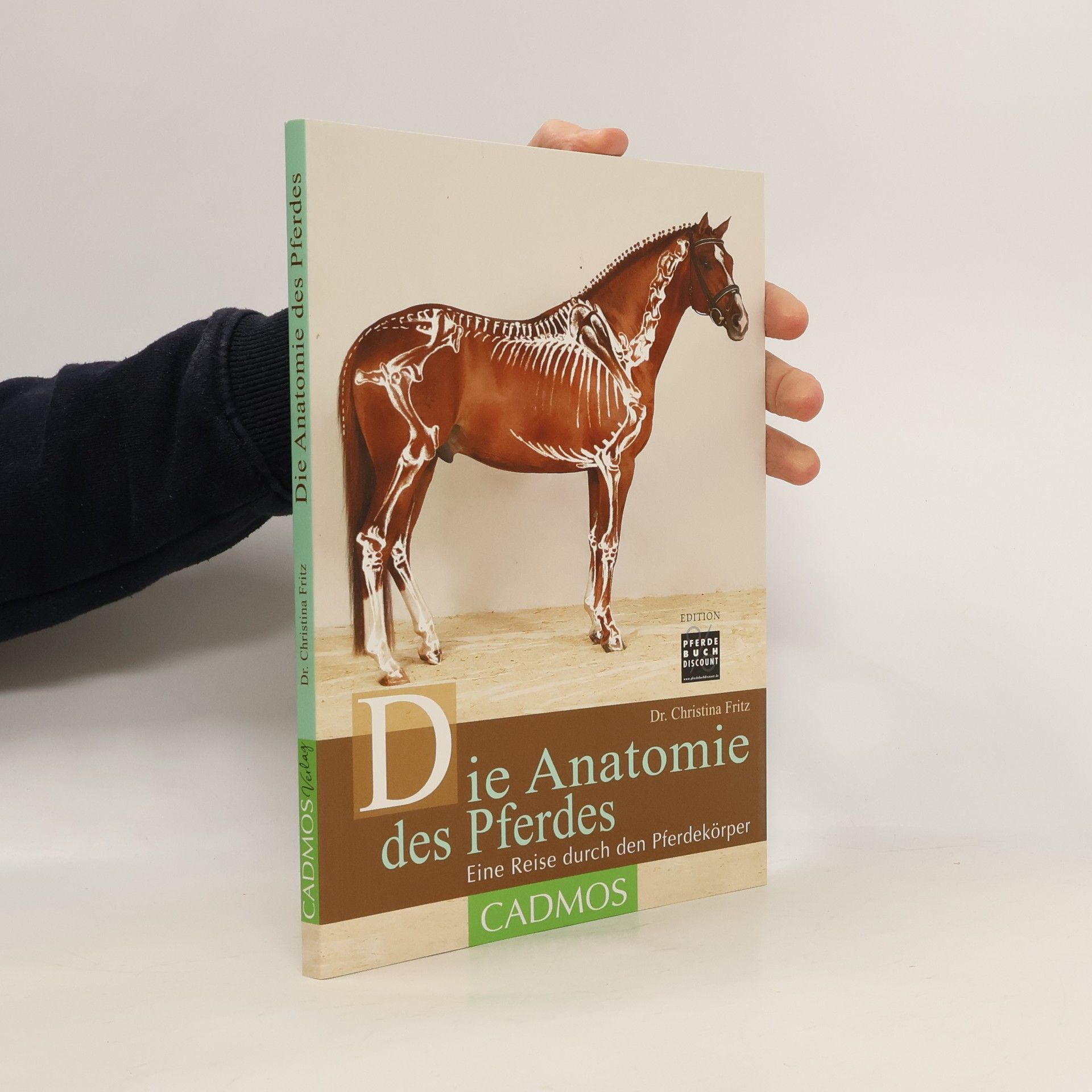 Die Anatomie des Pferdes