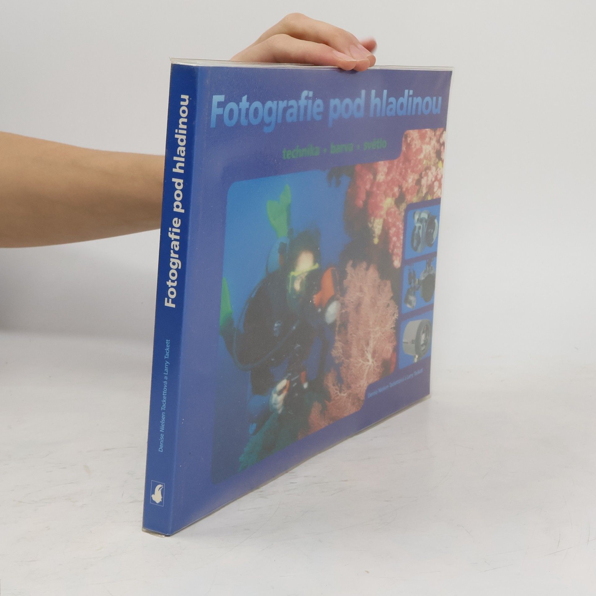 Denise Nielsen Tackett Fotografie pod hladinou. Technika, barva, světlo