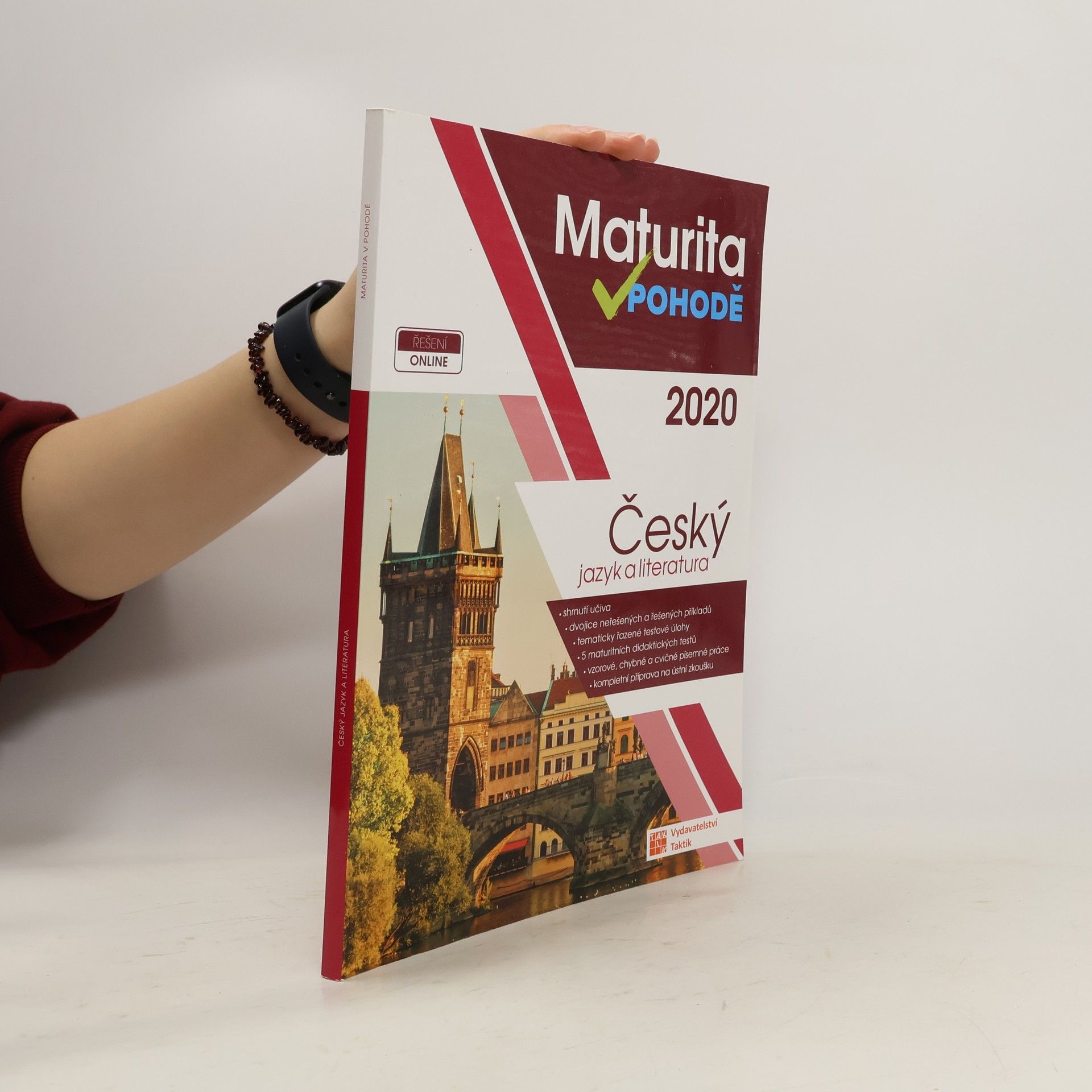 Maturita v pohodě 2020. Český jazyk a literatura