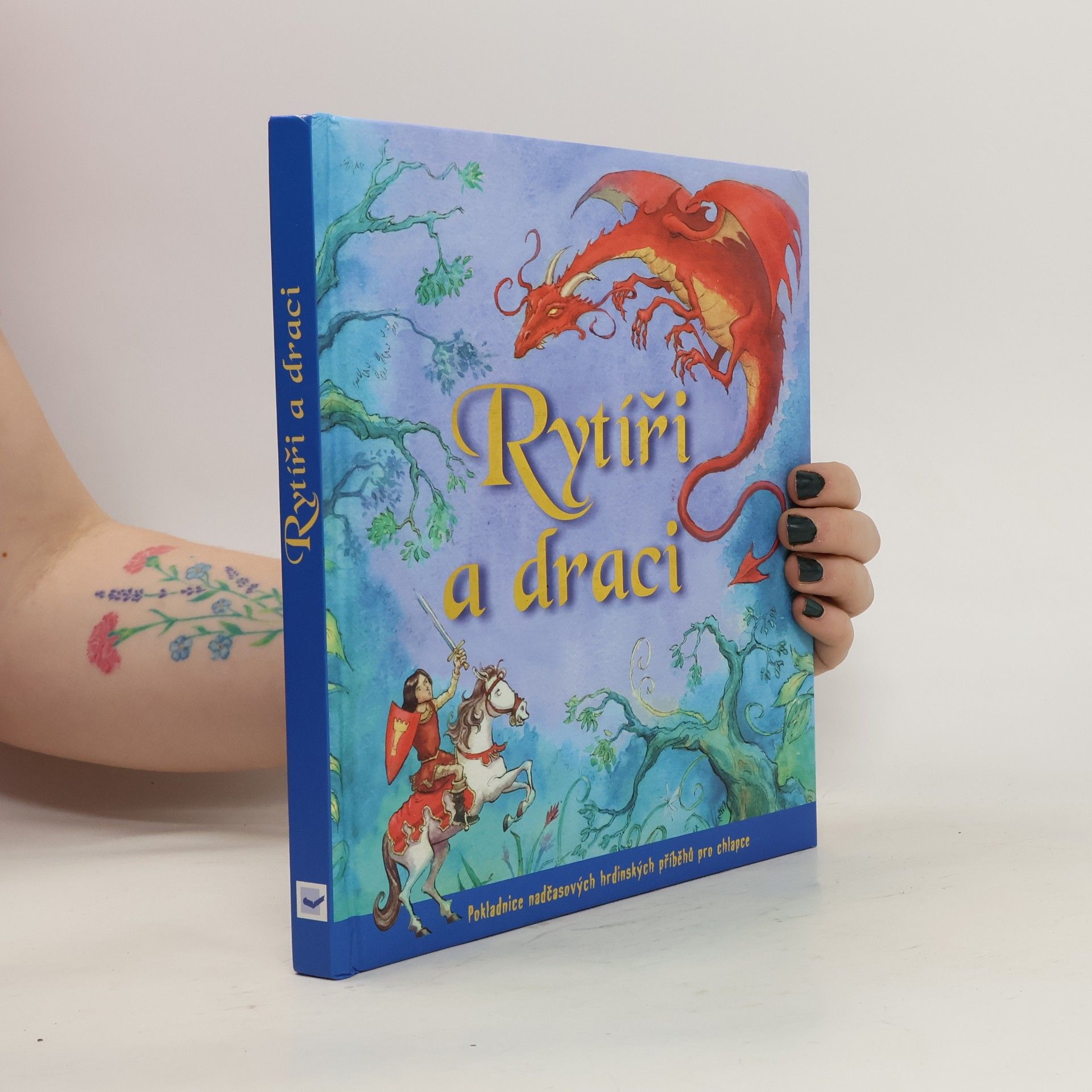 Autores varios Rytíři a draci