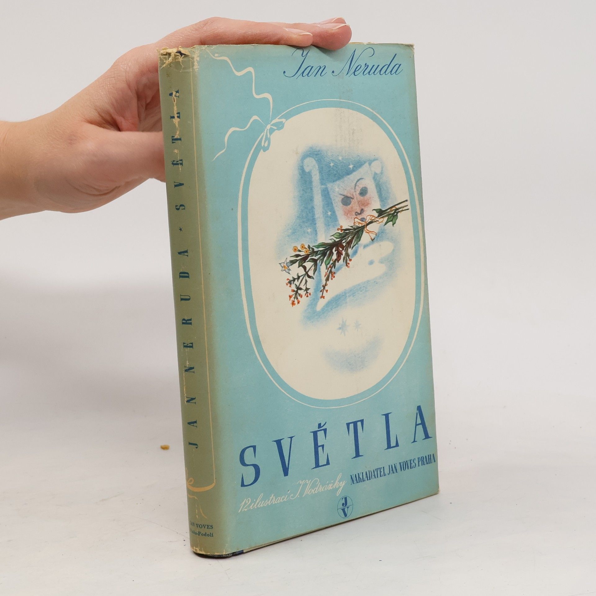 Jan Neruda Světla. Výbor ze studií a kritik