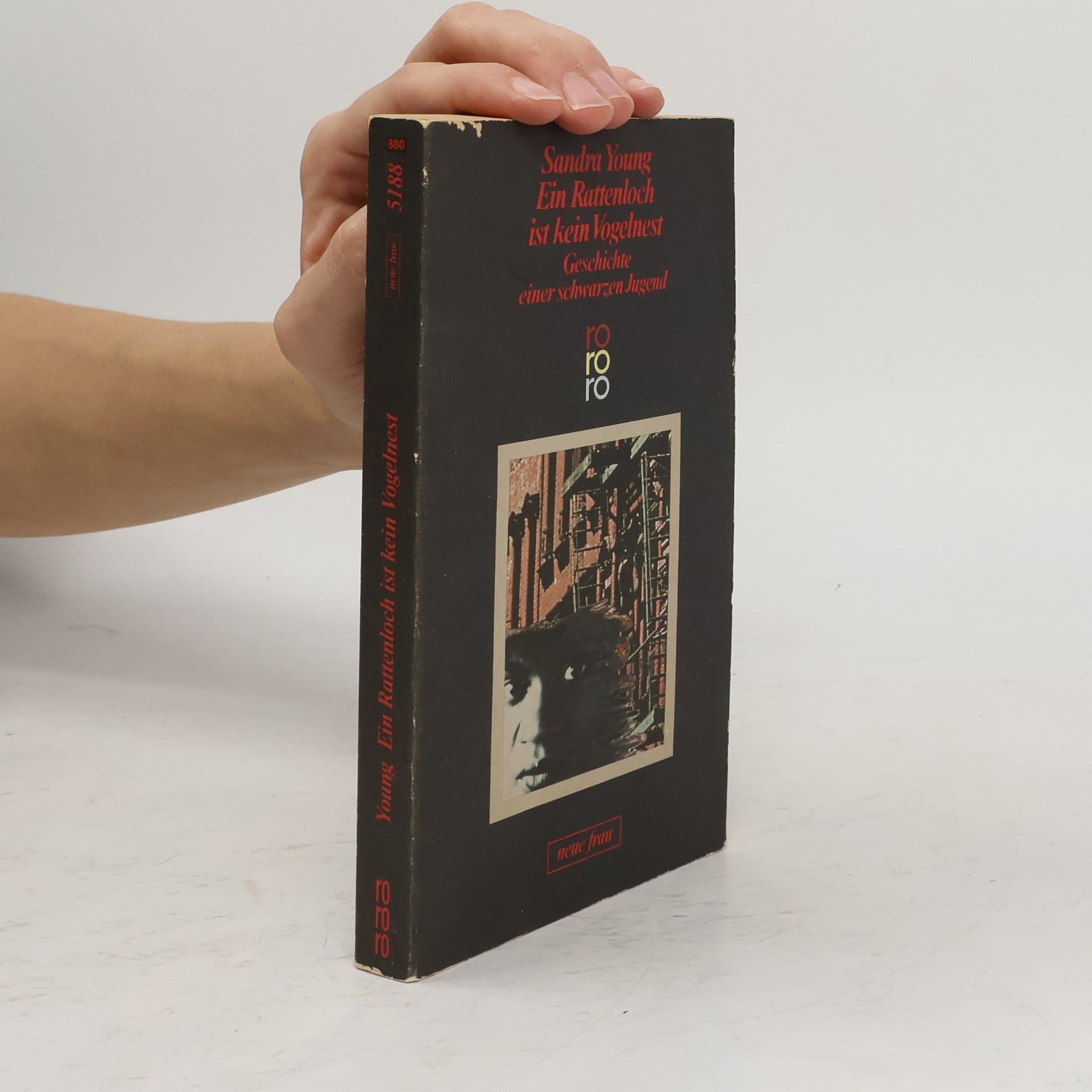 Sandra Young Ein Rattenloch ist kein Vogelnest