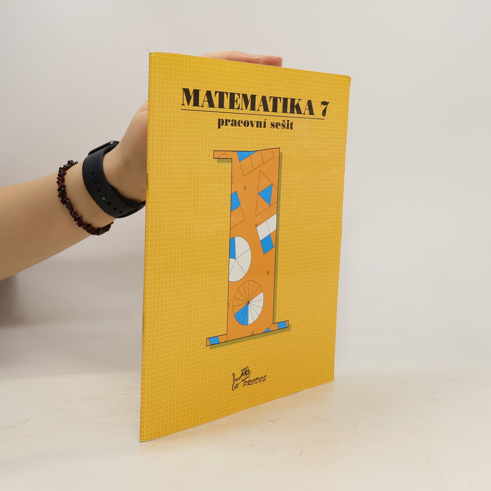 Slouka Jan Matematika 7 – pracovní sešit 1