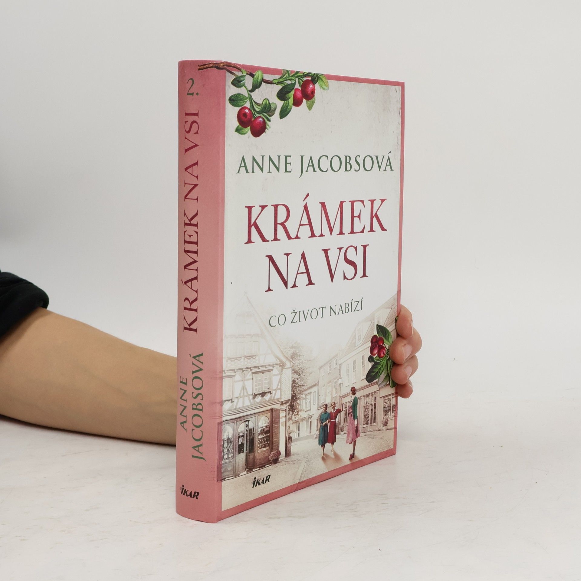 Anne Jacobs Krámek na vsi