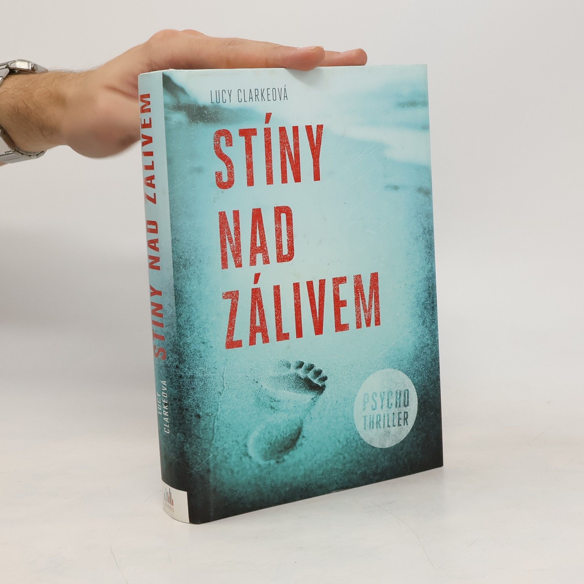 Lucy Clarke Stíny nad zálivem