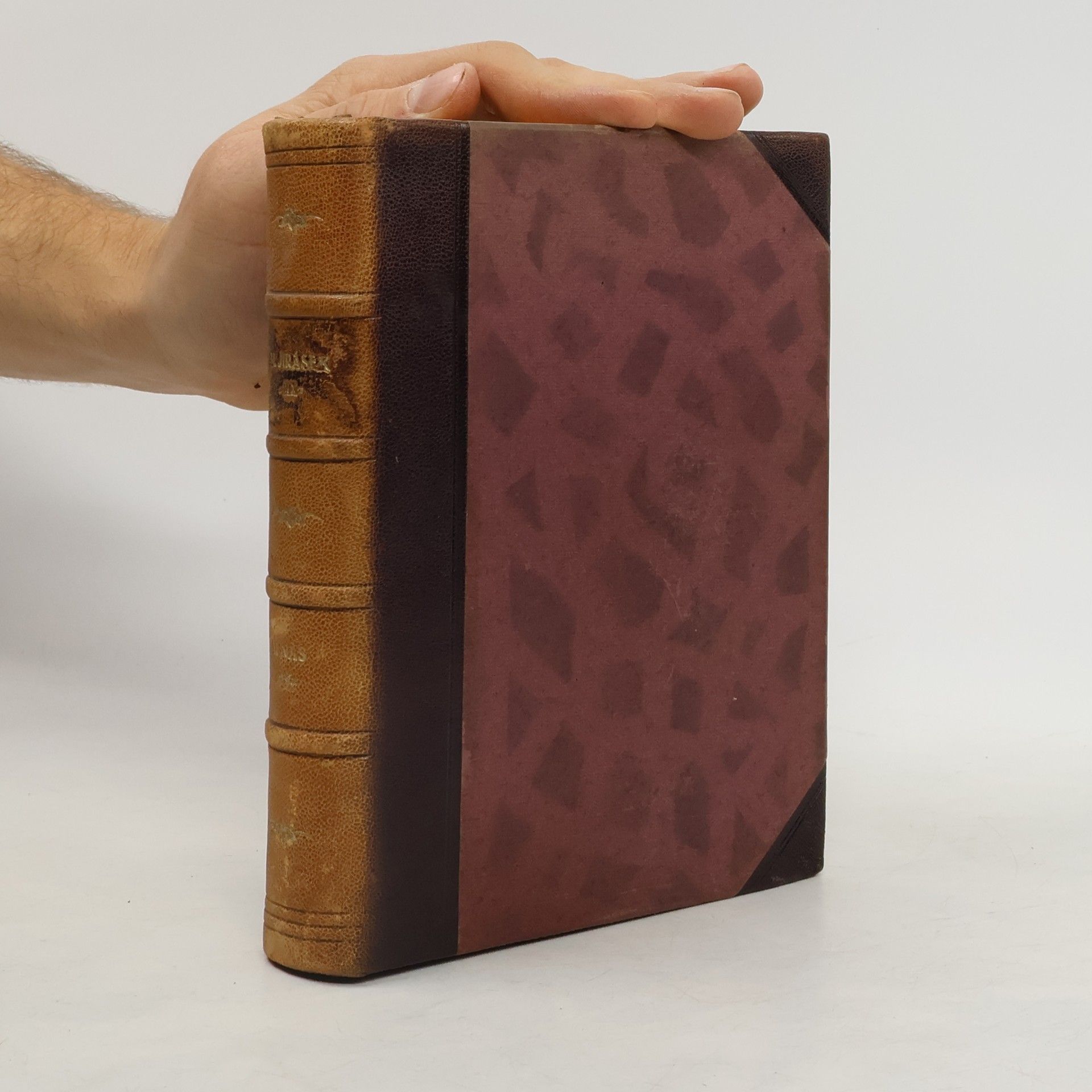 Alois Jirásek Sebrané spisy Aloisa Jiráska XX.: U nás IV.