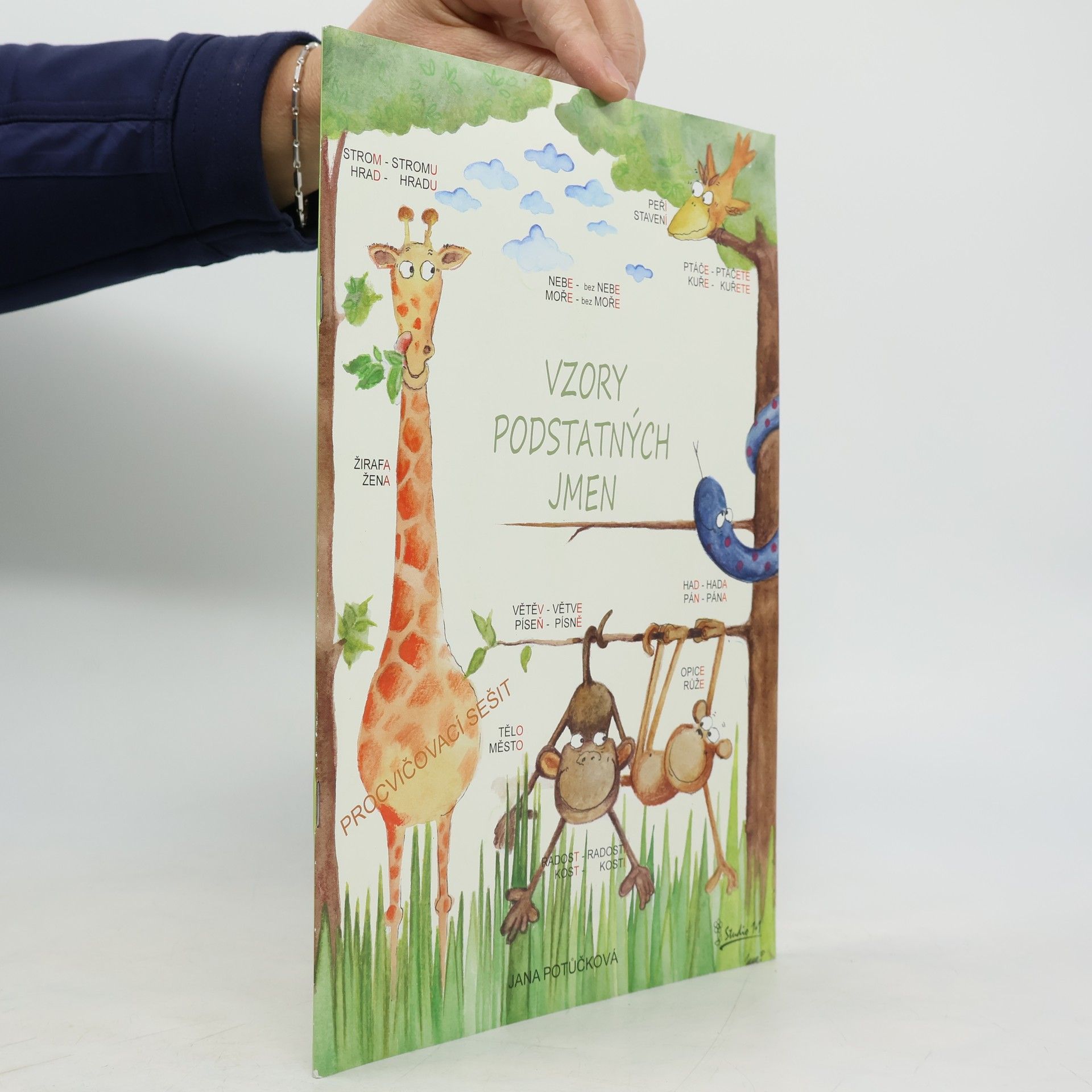 Jana Potůčková Vzory podstatných jmen - Procvičovací sešit z ČJ pro 4. ročník ZŠ