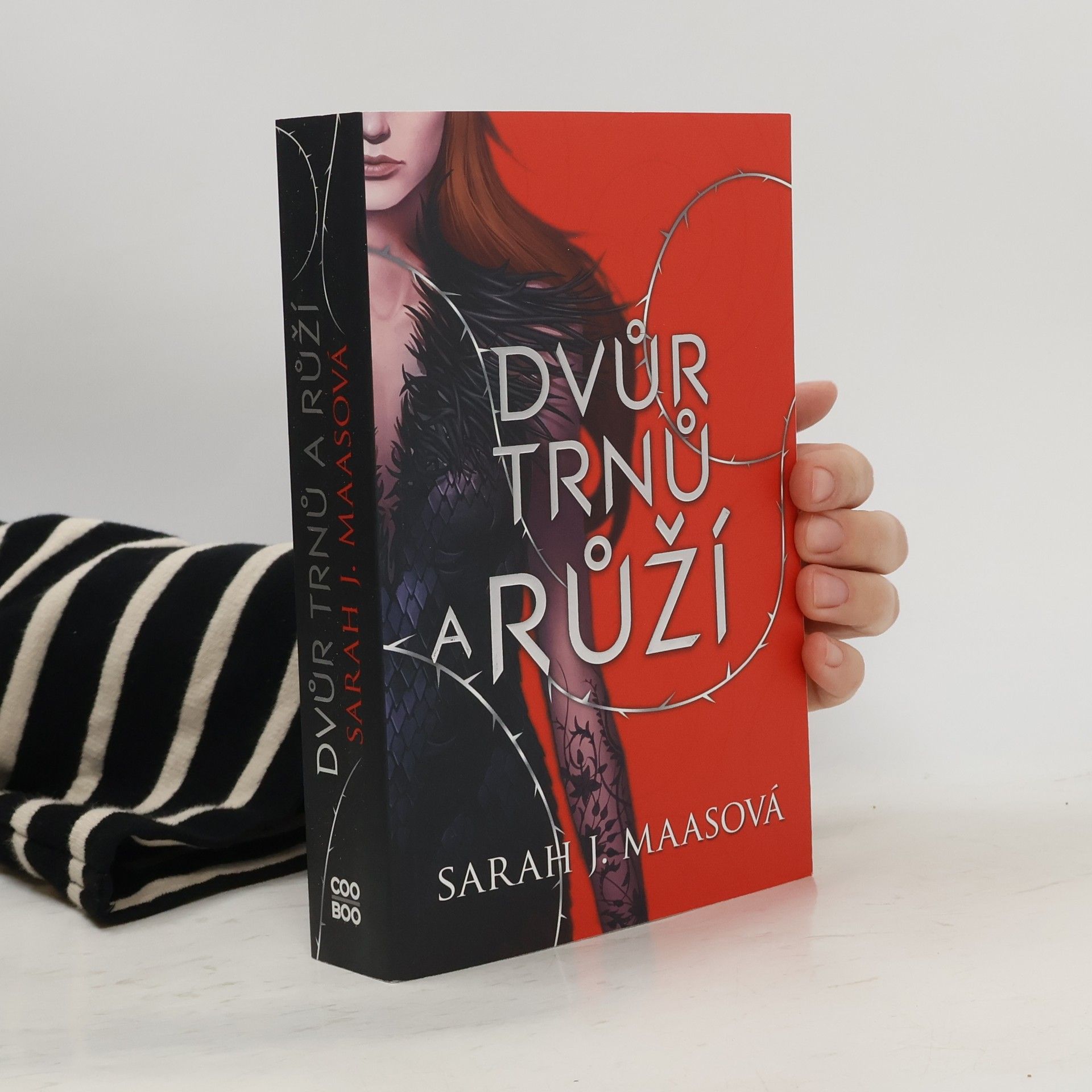 Sarah J. Maas Dvůr trnů a růží