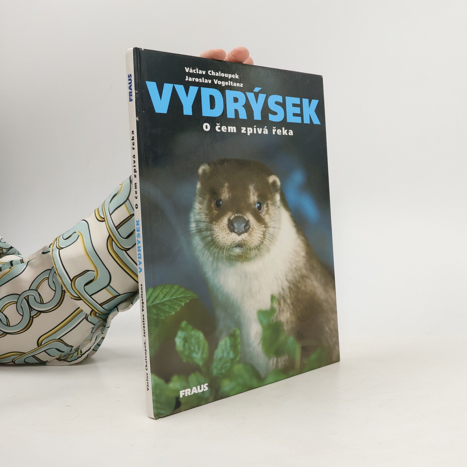 Jaroslav Vogeltanz Vydrýsek. O čem zpívá řeka