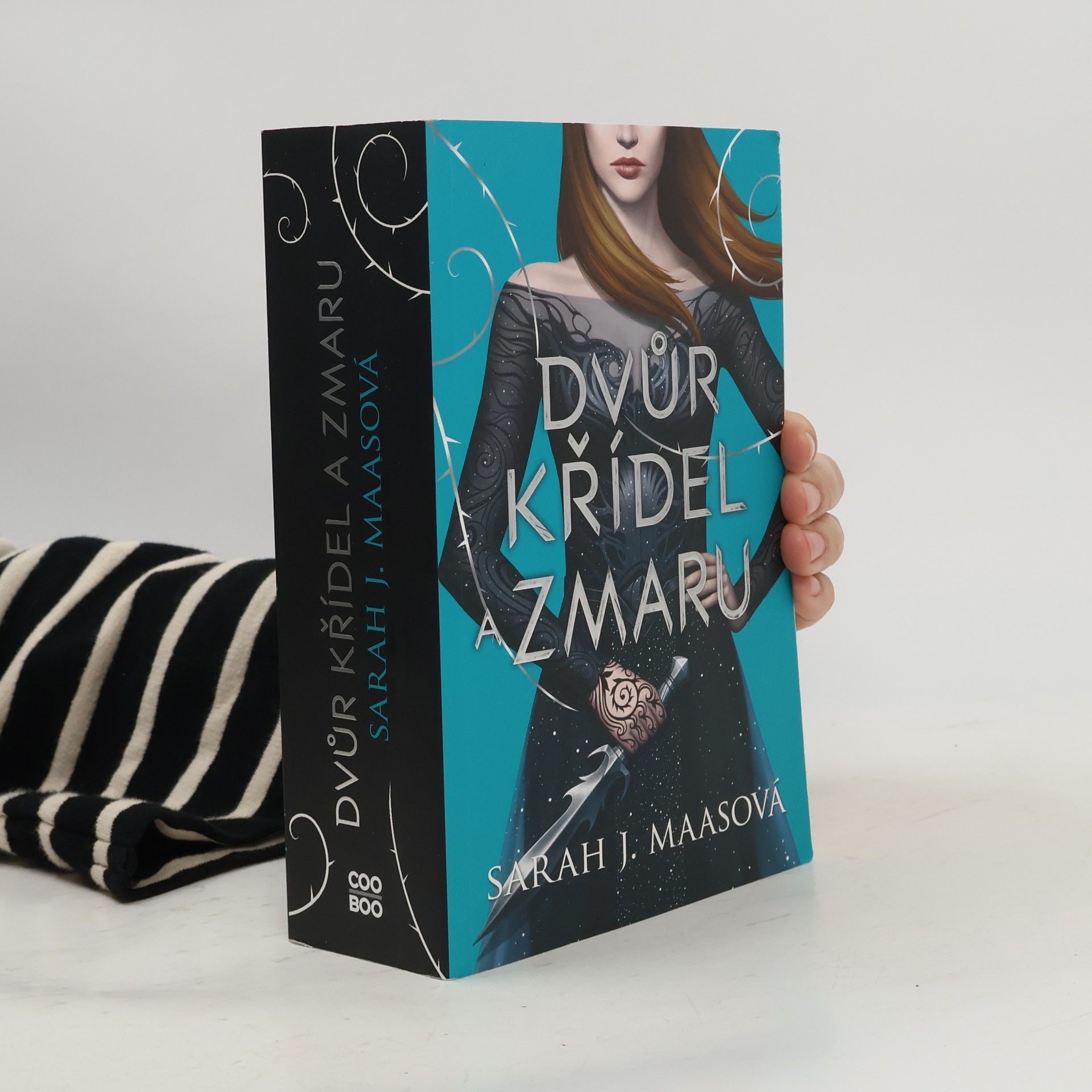 Dvůr křídel a zmaru