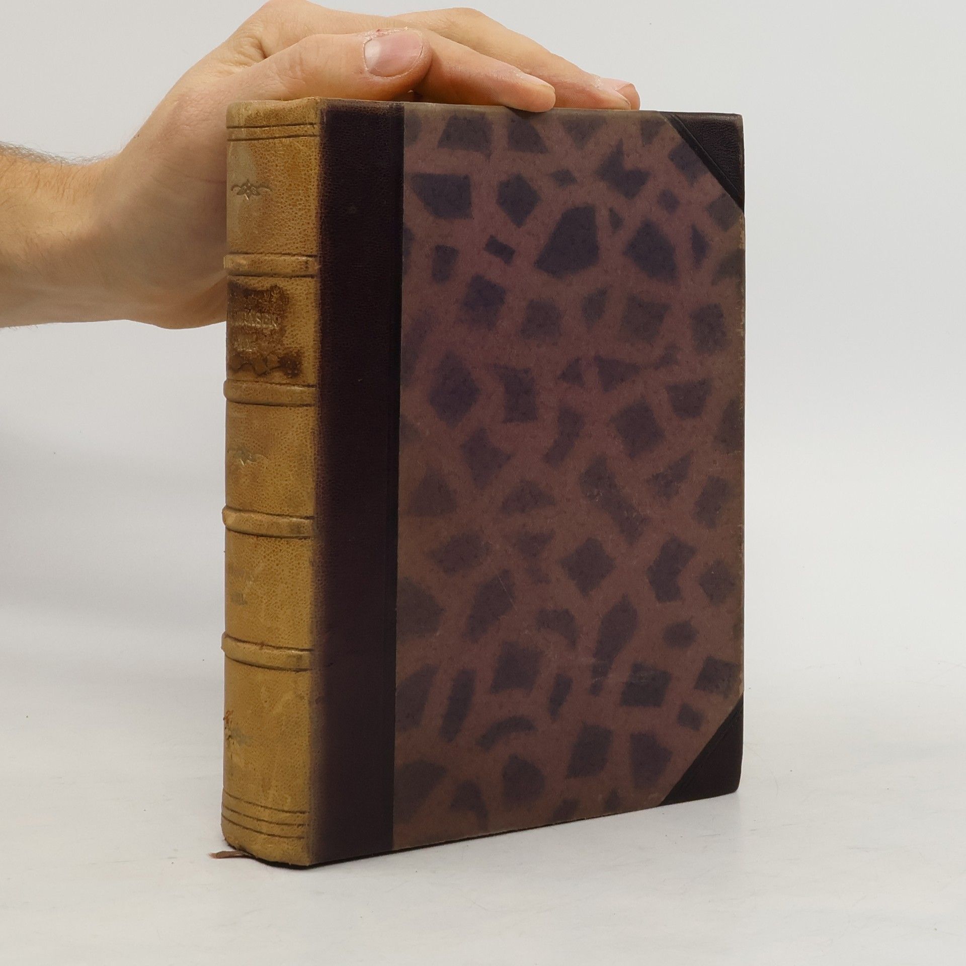 Alois Jirásek U nás. Kniha třetí. Osetek