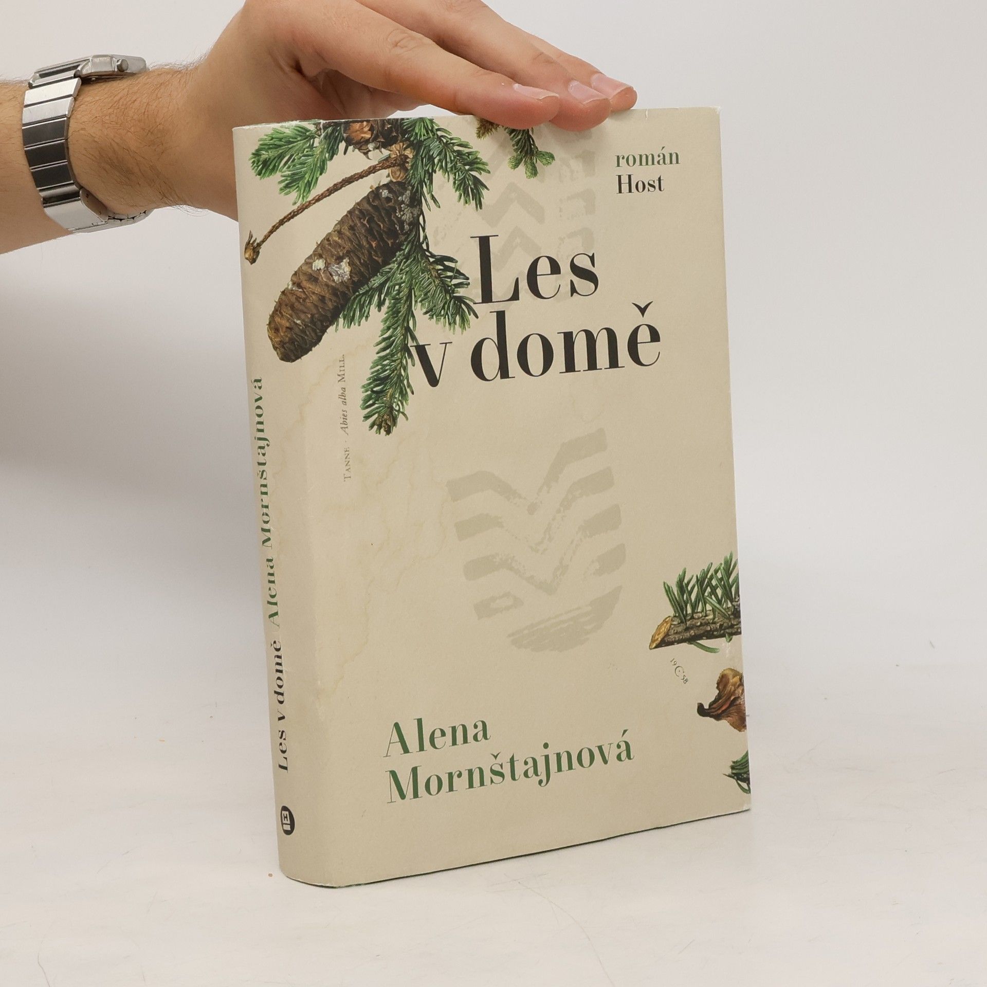 Alena Mornštajnová Les v domě