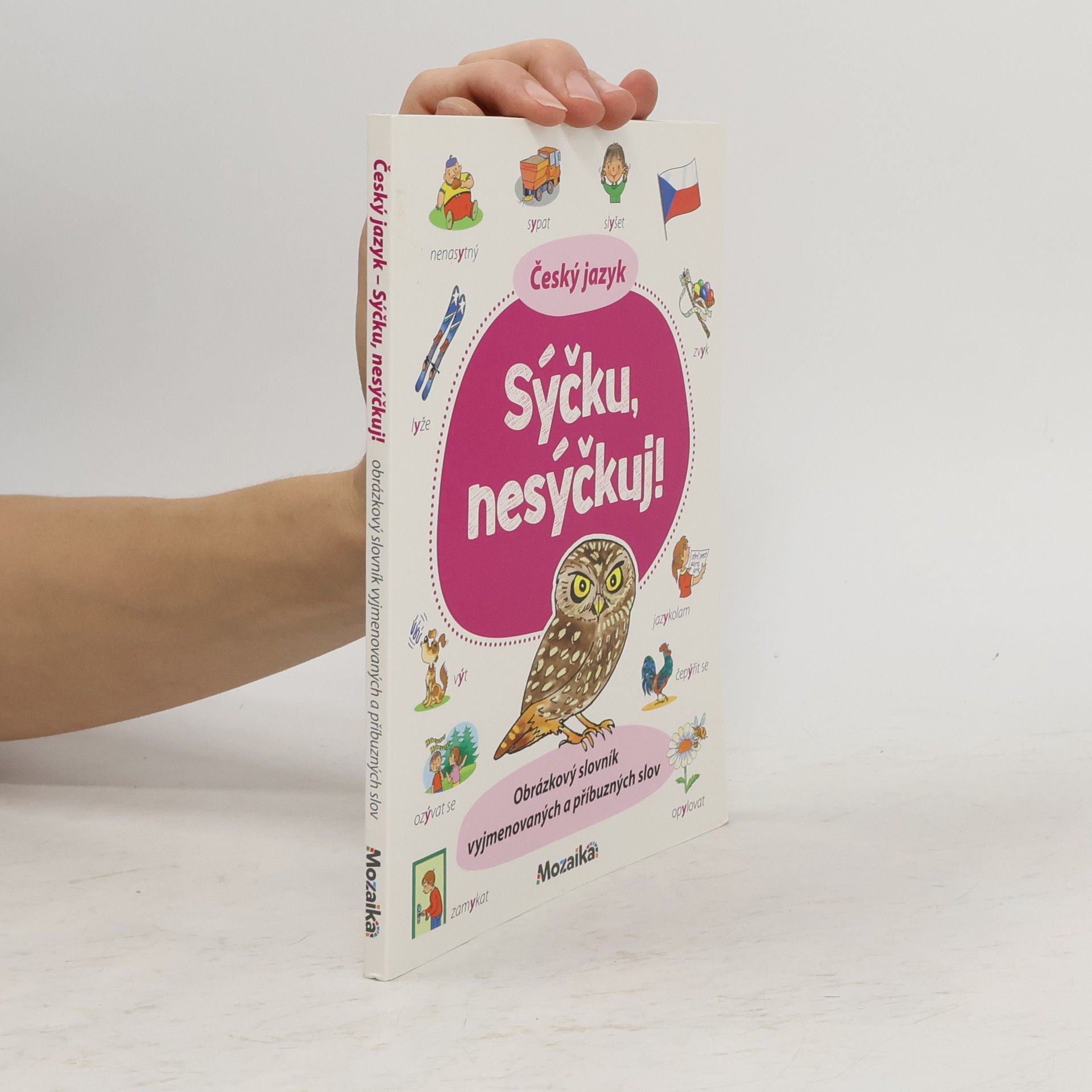 Collectif d'auteurs Český jazyk : sýčku, nesýčkuj!