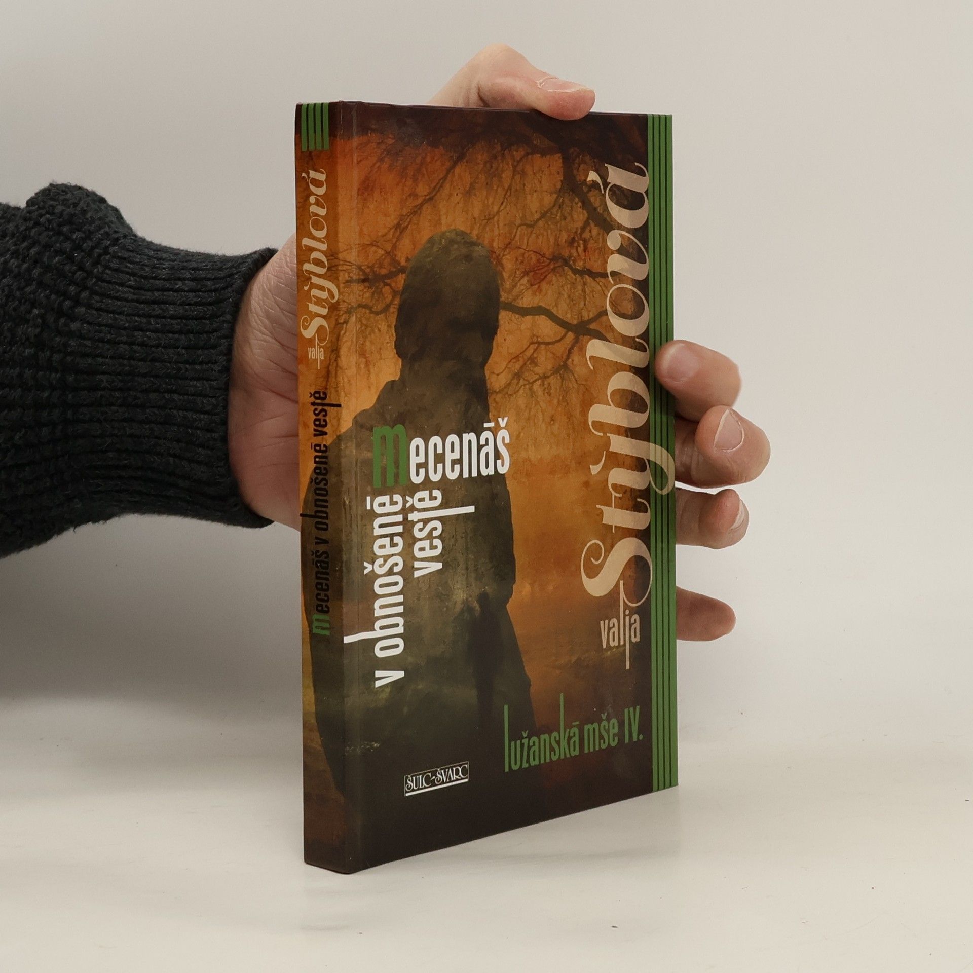 Mecenáš v obnošené vestě