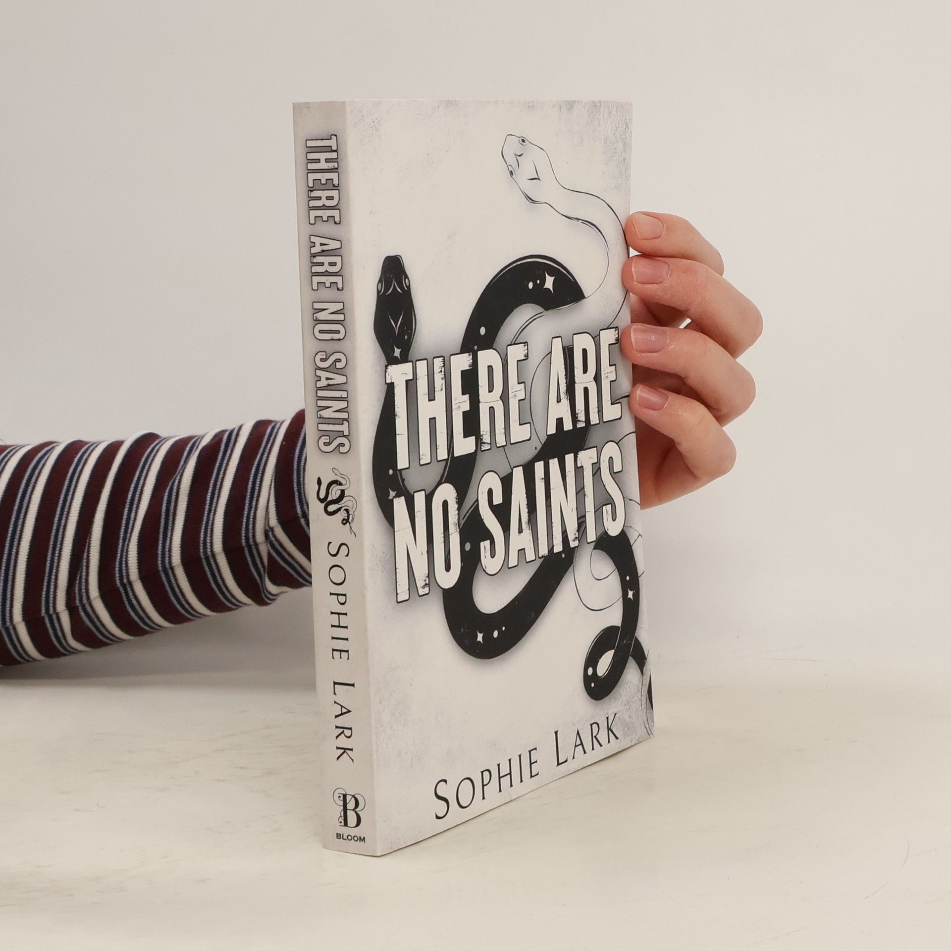 Sophie Lark There Are No Saints