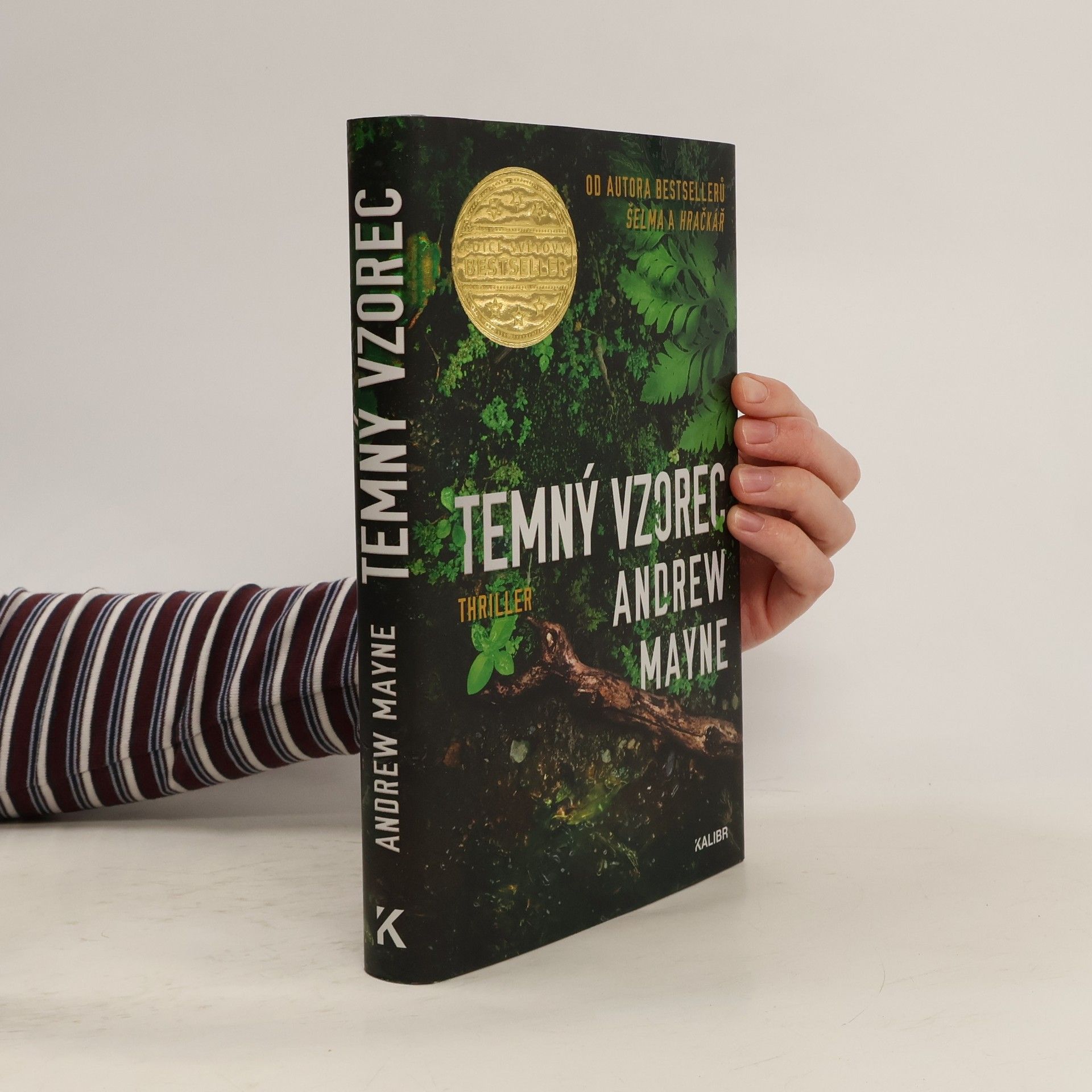 Andrew Mayne Temný vzorec