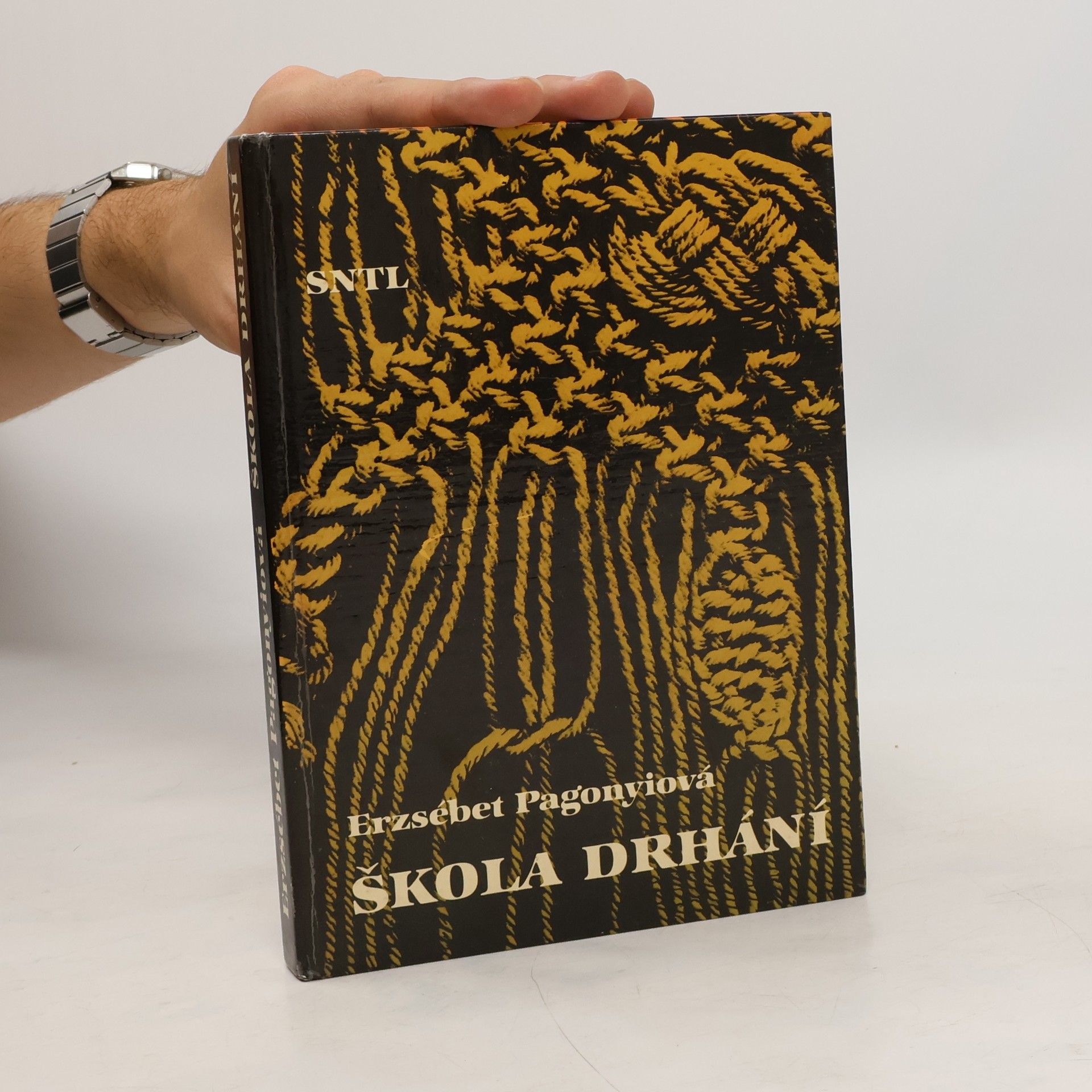 Erzsébet Pagonyi Škola drhání