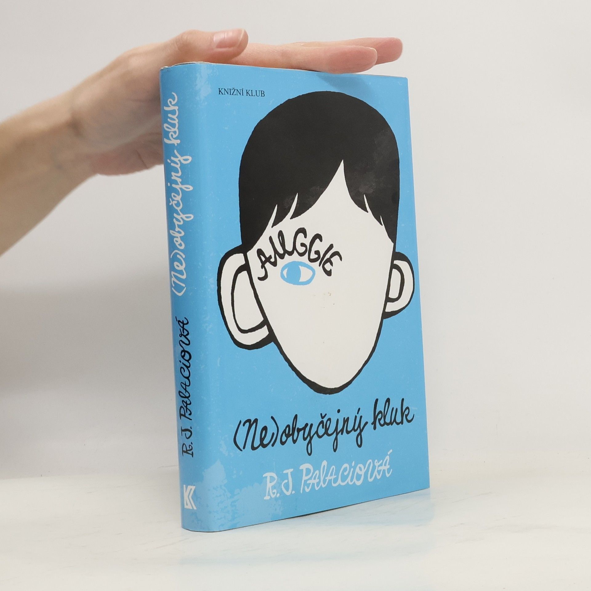 R. J. Placio (Ne)obyčejný kluk